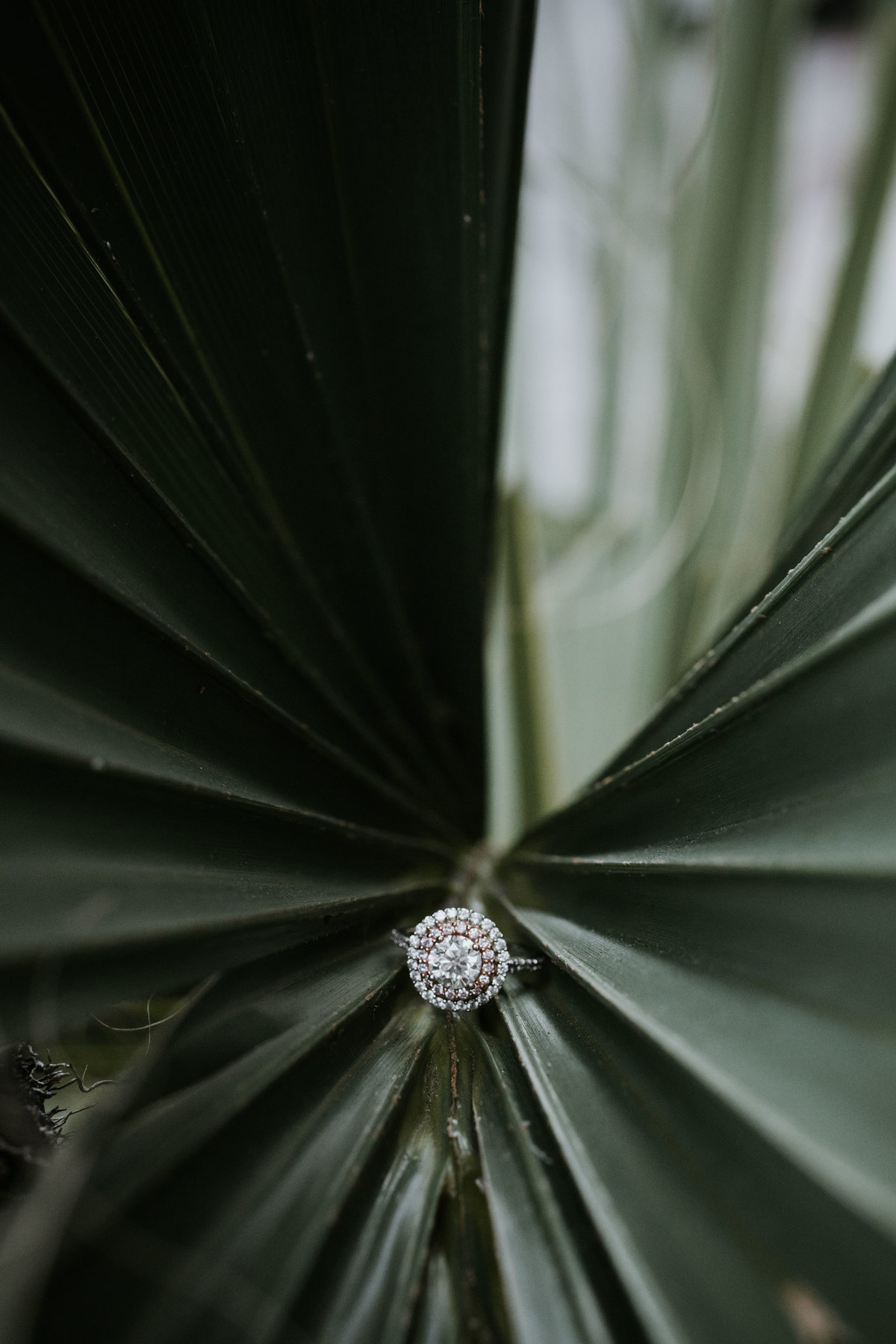 Downtown-Charleston-SC-engagement-portrait-photography-33