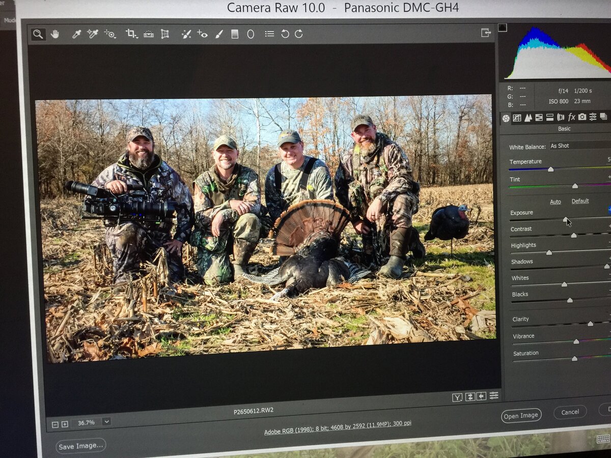 Jason Miller and the crew filming Wild turkeys  with Raven 6 Studios