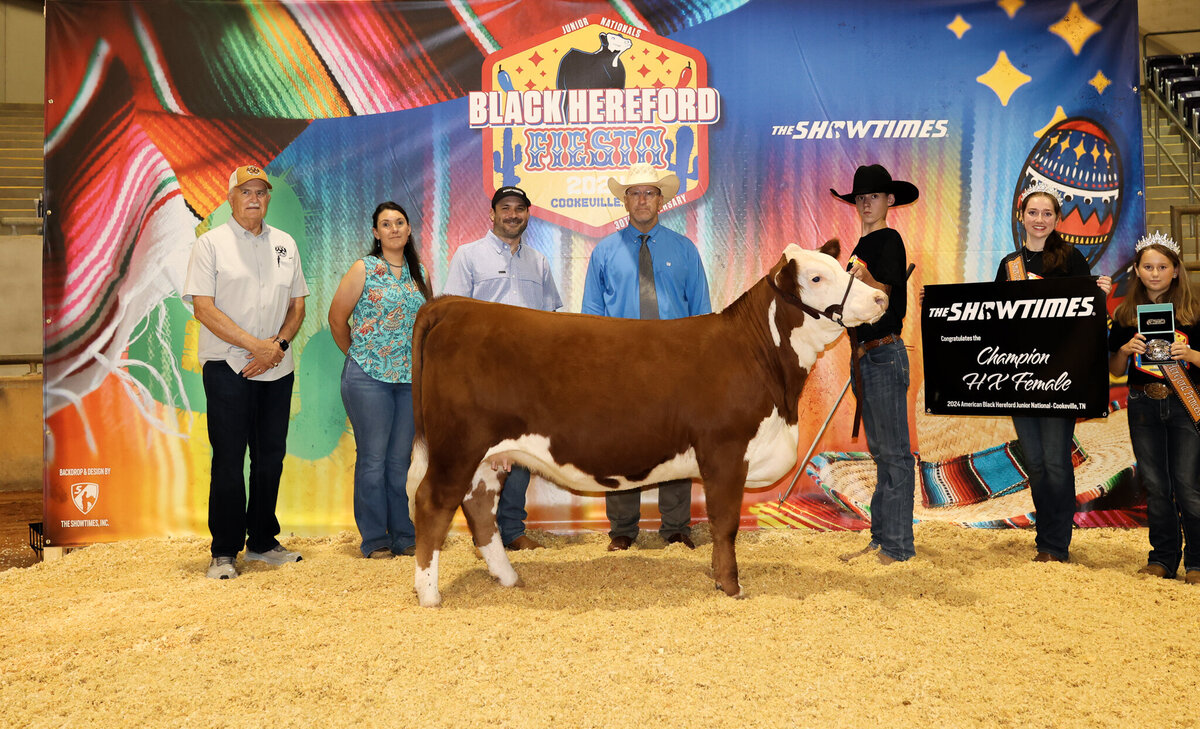 HX heifer BFS Lena 33L