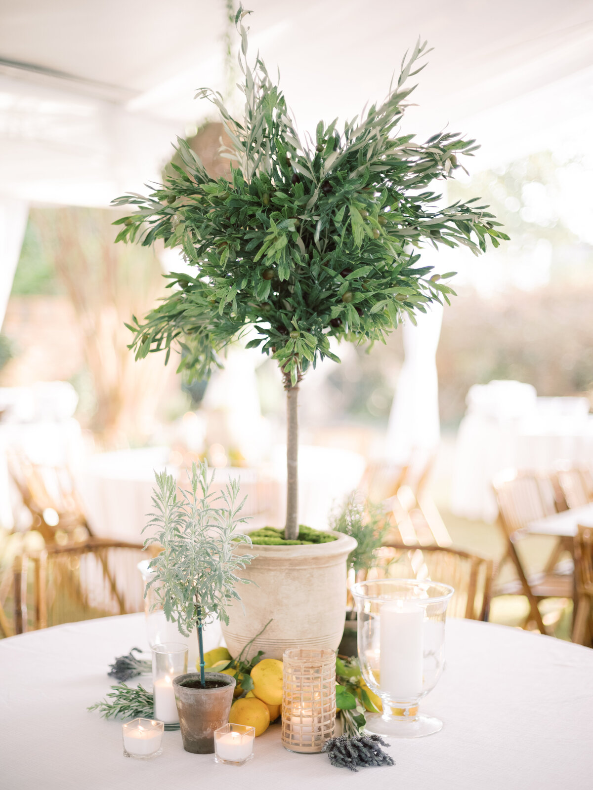 nashville.wedding.photographer.reception8