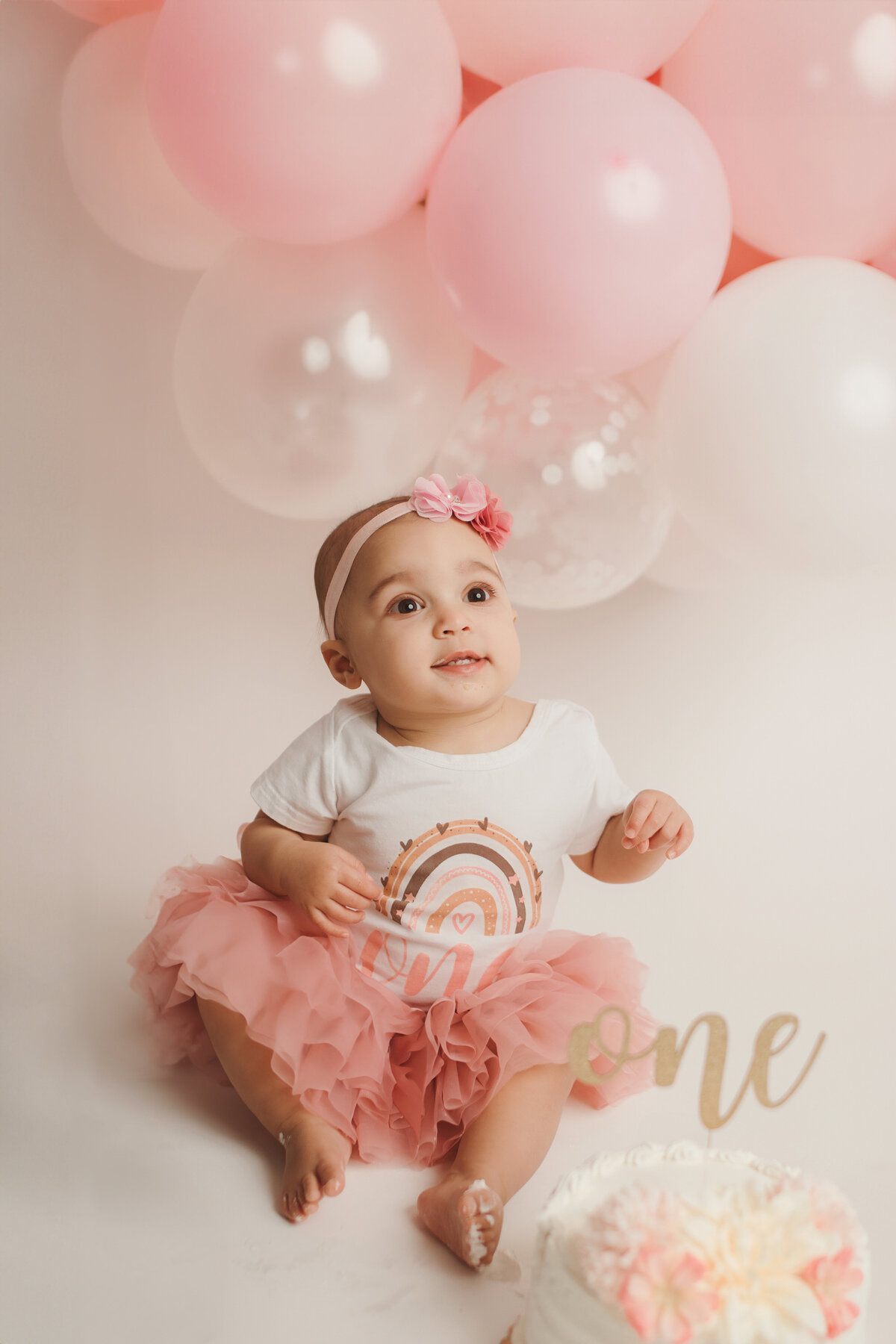 first birthday photography east aurora ny