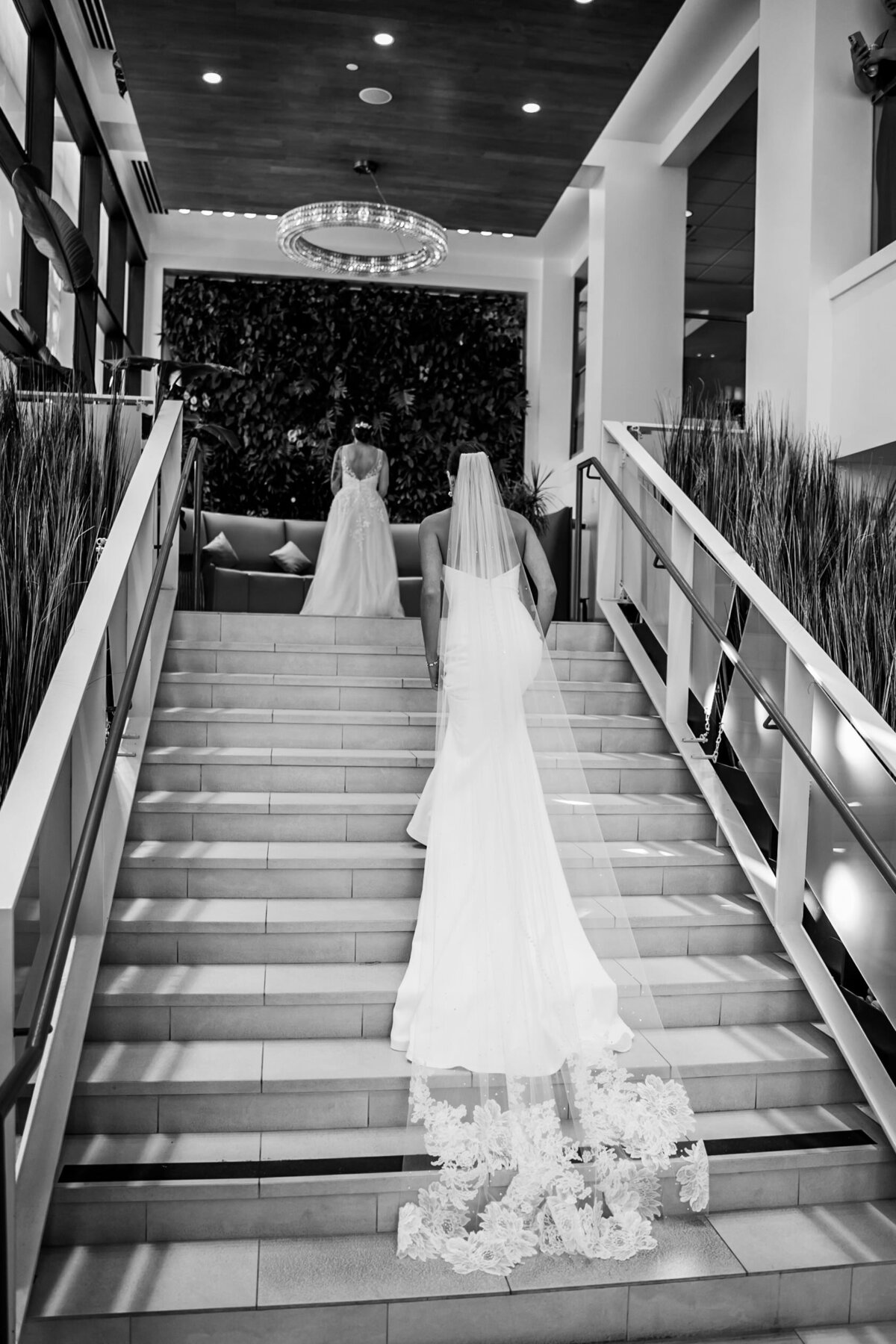 bride walking up stairs with long train and veil to other bride for first look at hilton clearwater beach