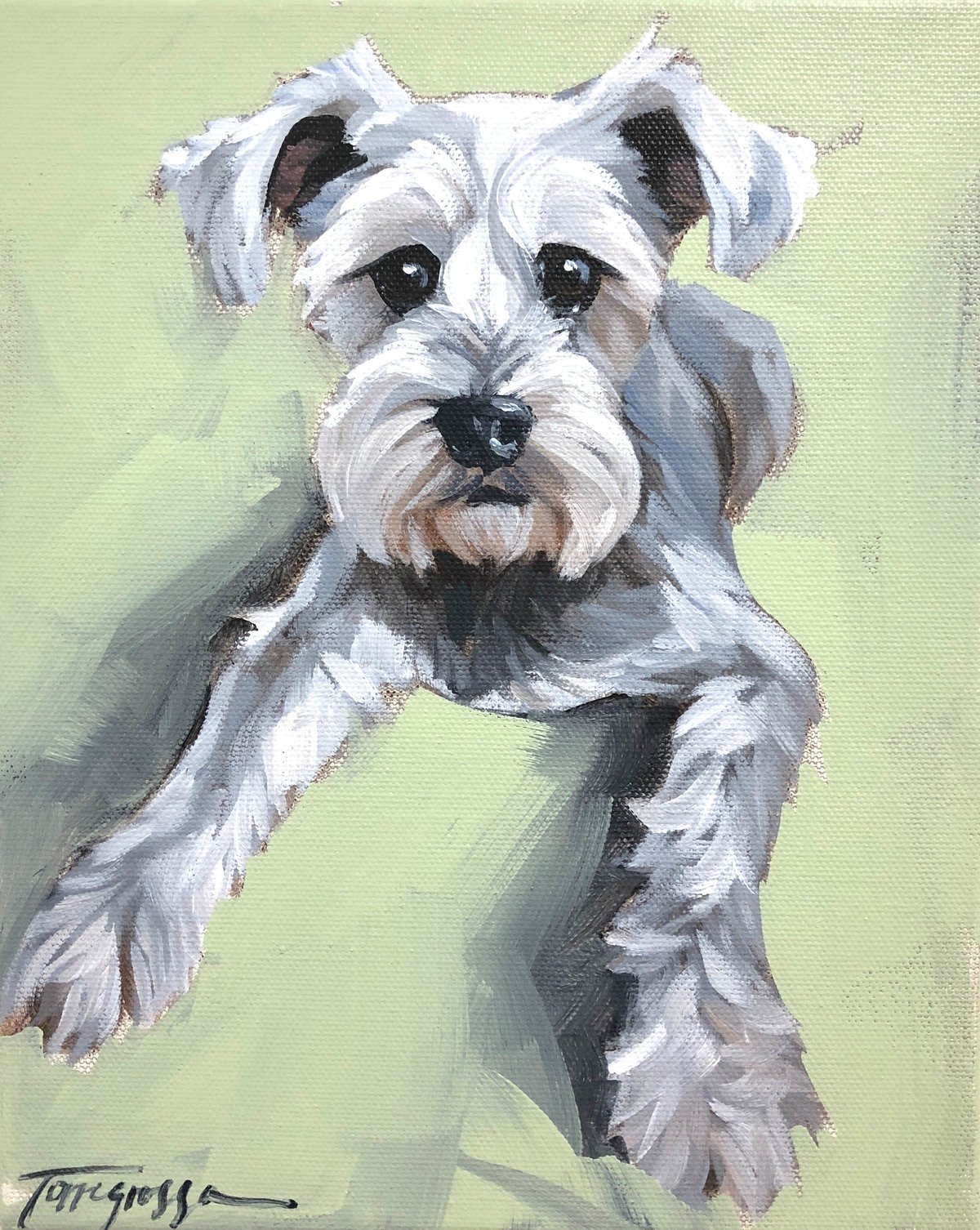 Torregrossa Fine Art Custom Pet Portrait by Stephanie T Gaffney