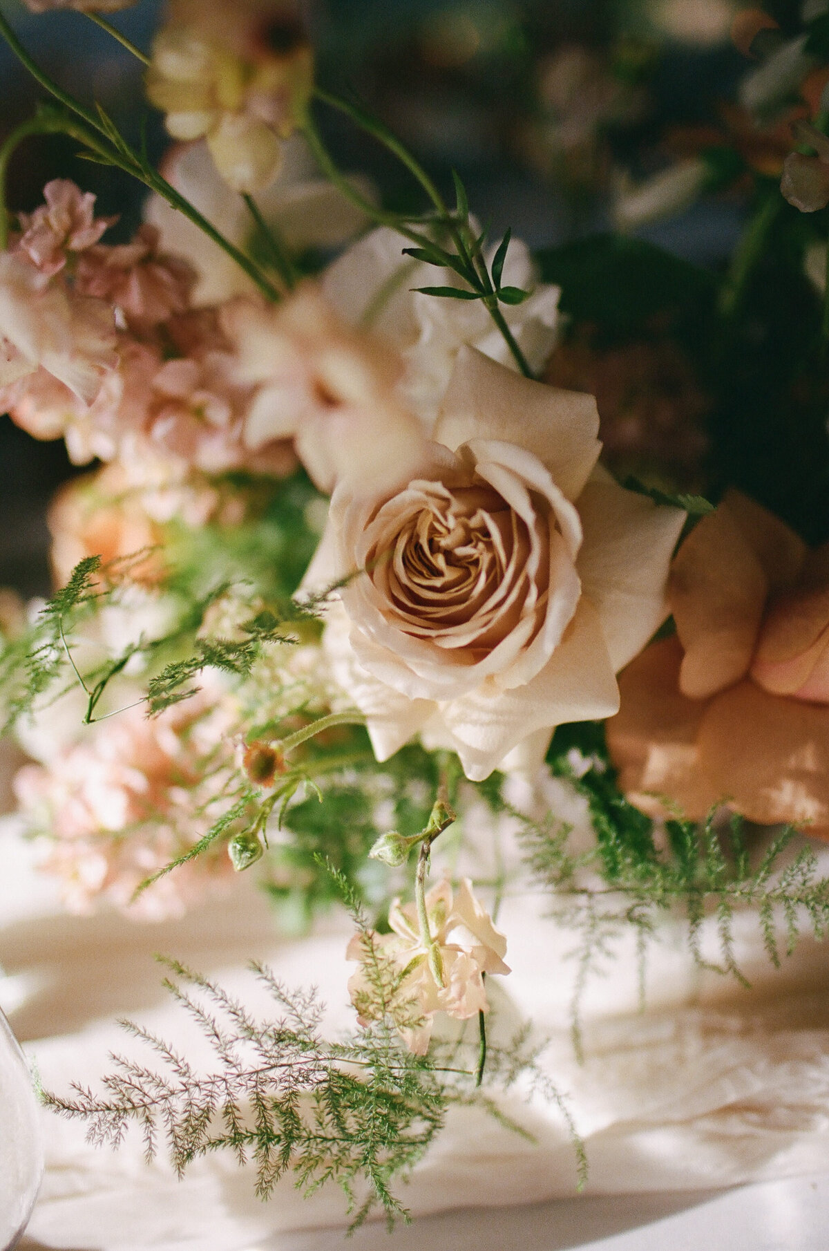 CAITLIN+CALVIN-LI-810