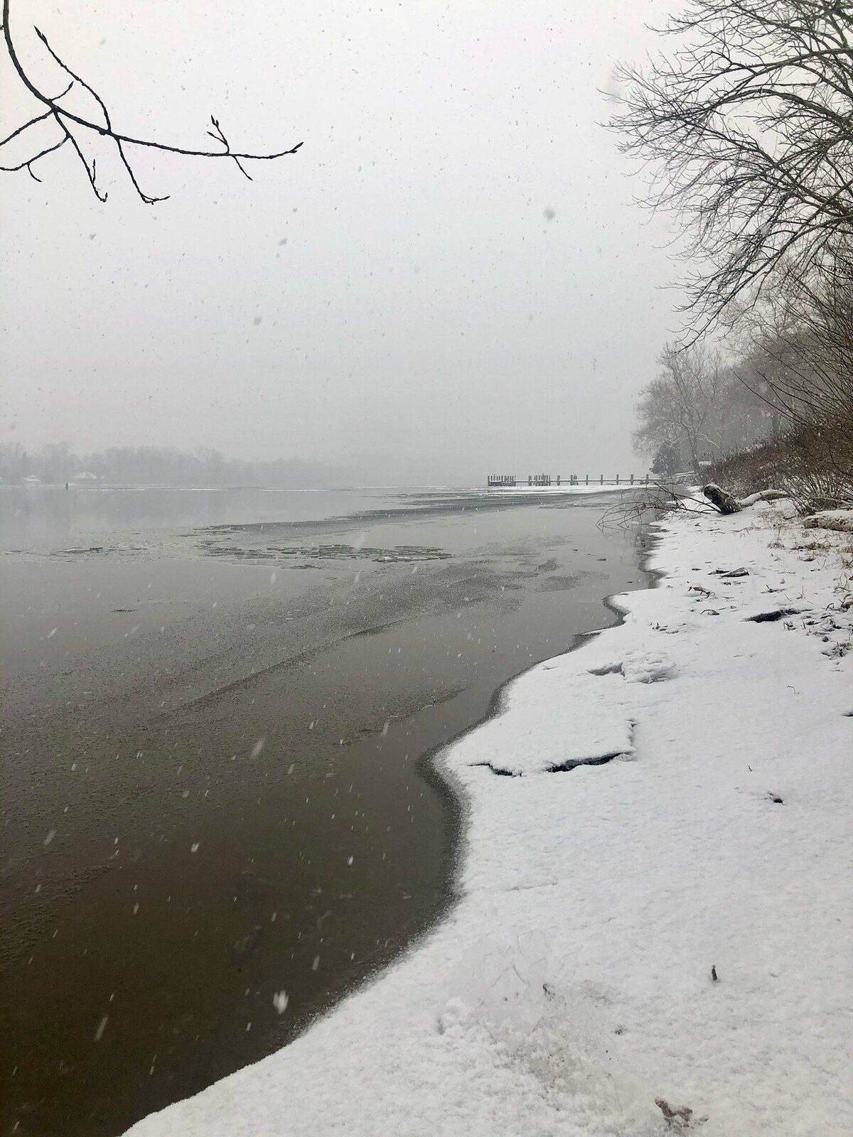 CCC_Estuary_25