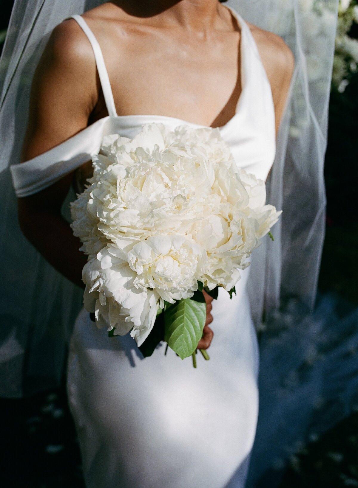 Cameron_Kohshin_95466