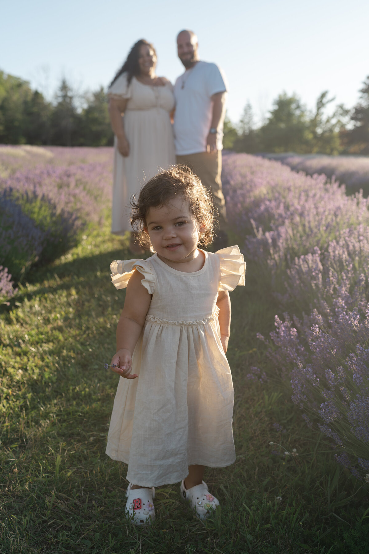 Lavender Minis - Jasmine-16