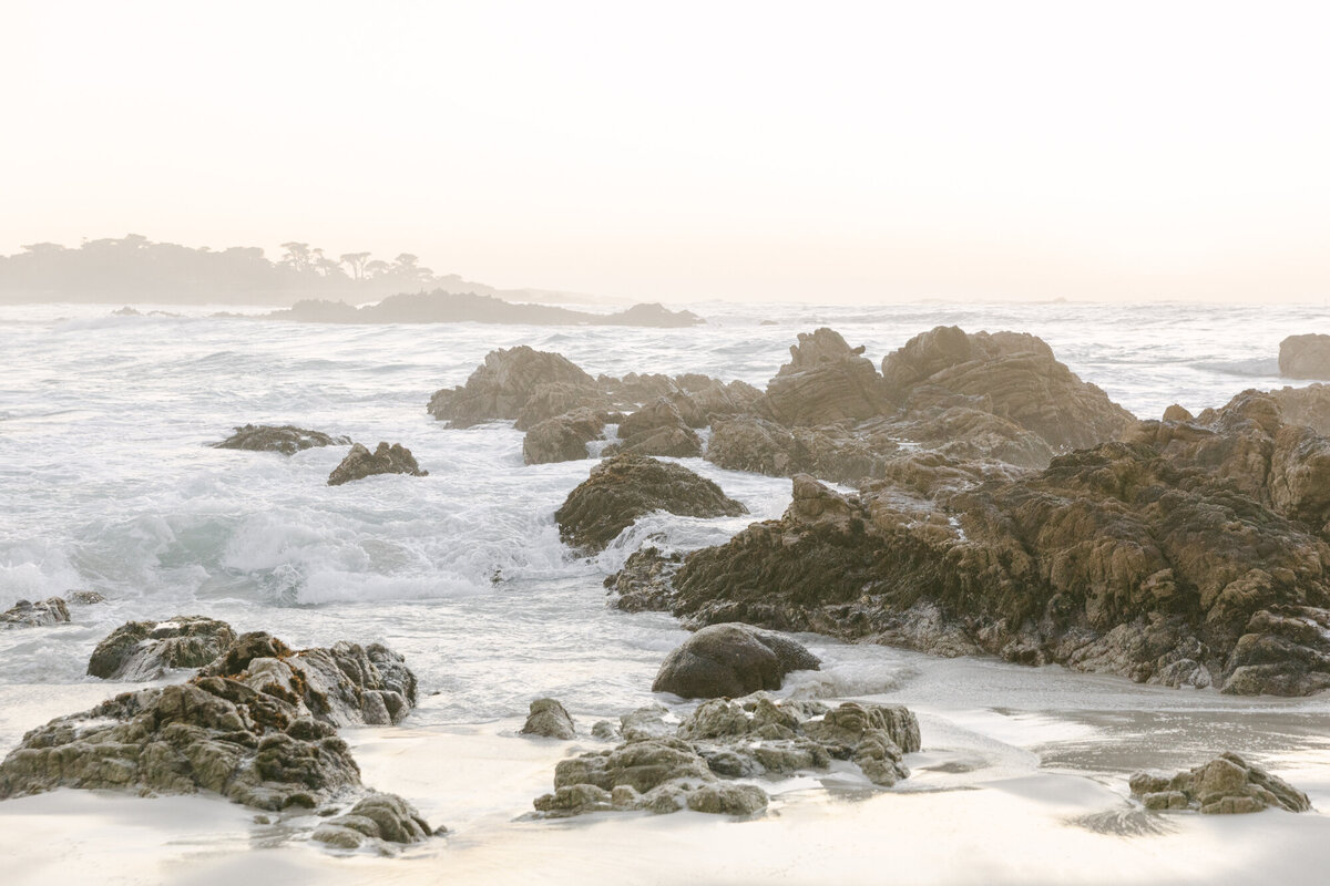 PERRUCCIPHOTO_PEBBLE_BEACH_FAMILY_MATERNITY_SESSION_125