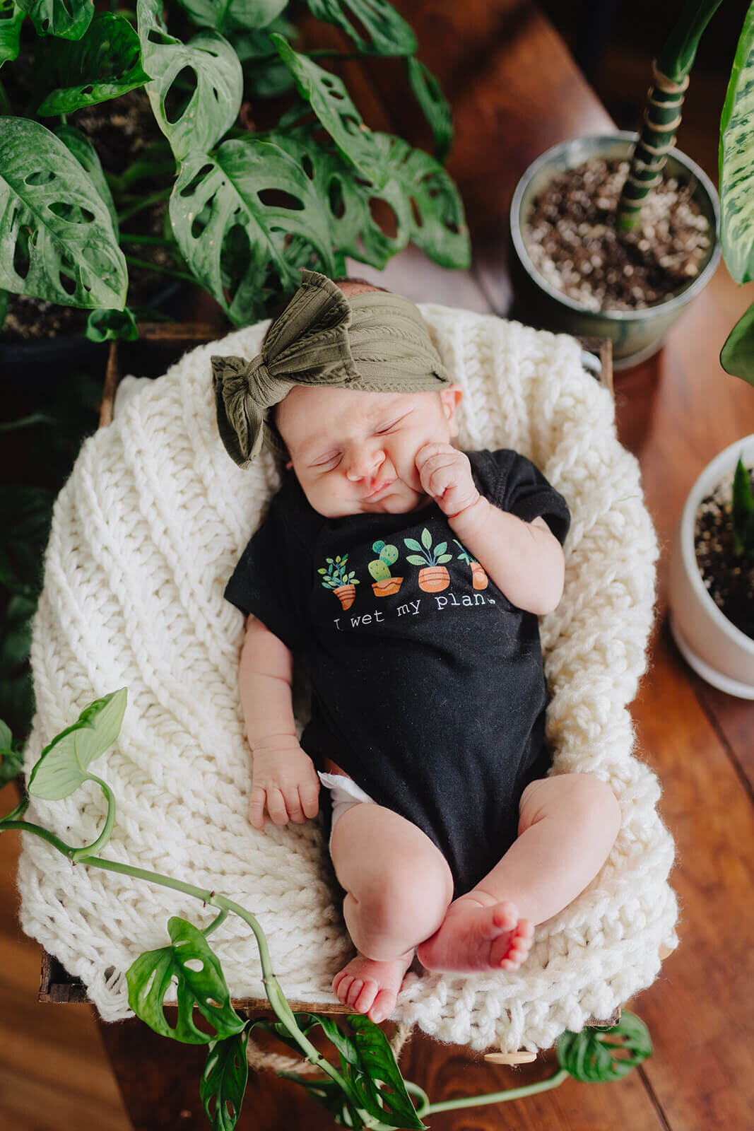 baby asleep on a blanket lined moses basket surrounded by plants