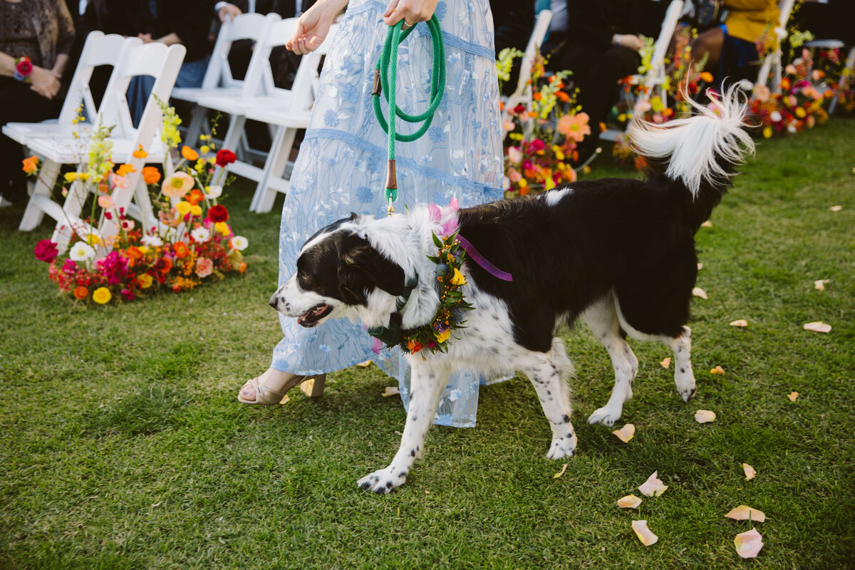 destination-wedding-bel-air-bay-club-wedding-julian-leaver-events-24