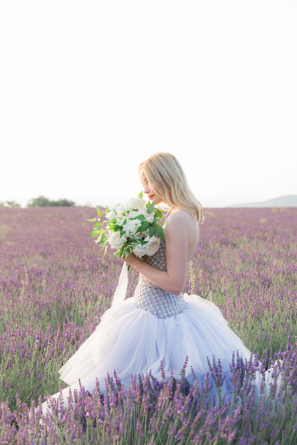 IRP-LavenderFields2024-14edit