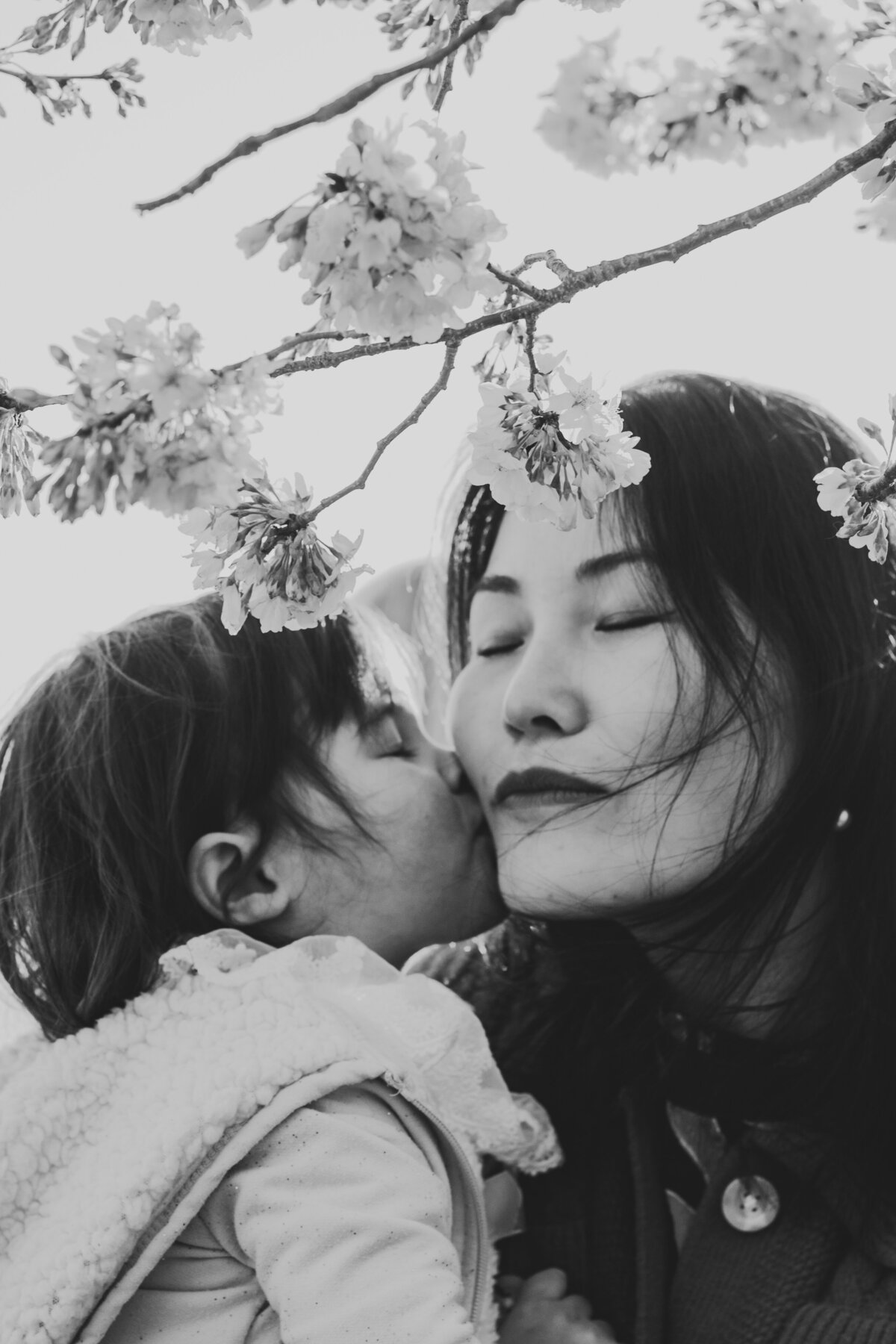 AngieFamily_CherryBlossoms-187