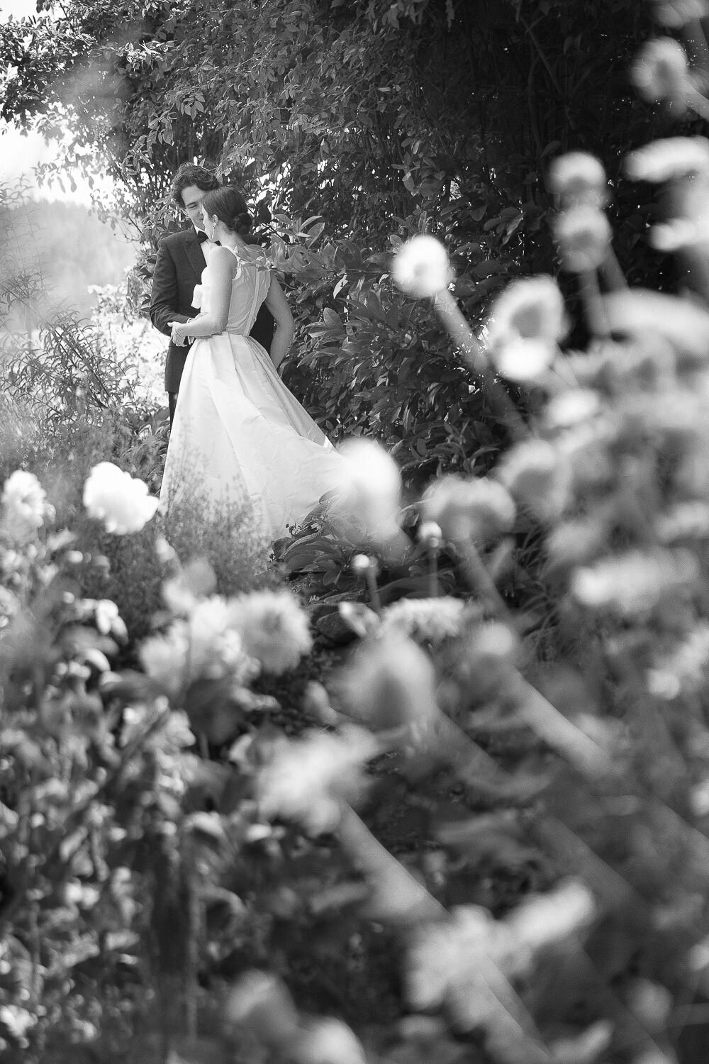 sonoma-theresakelly--47
