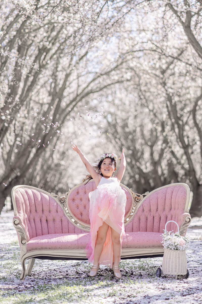 Toddler girl tossing almond blossom petals in the air in front of a pink sofa during a photoshoot at an almond orchard in Bay Area