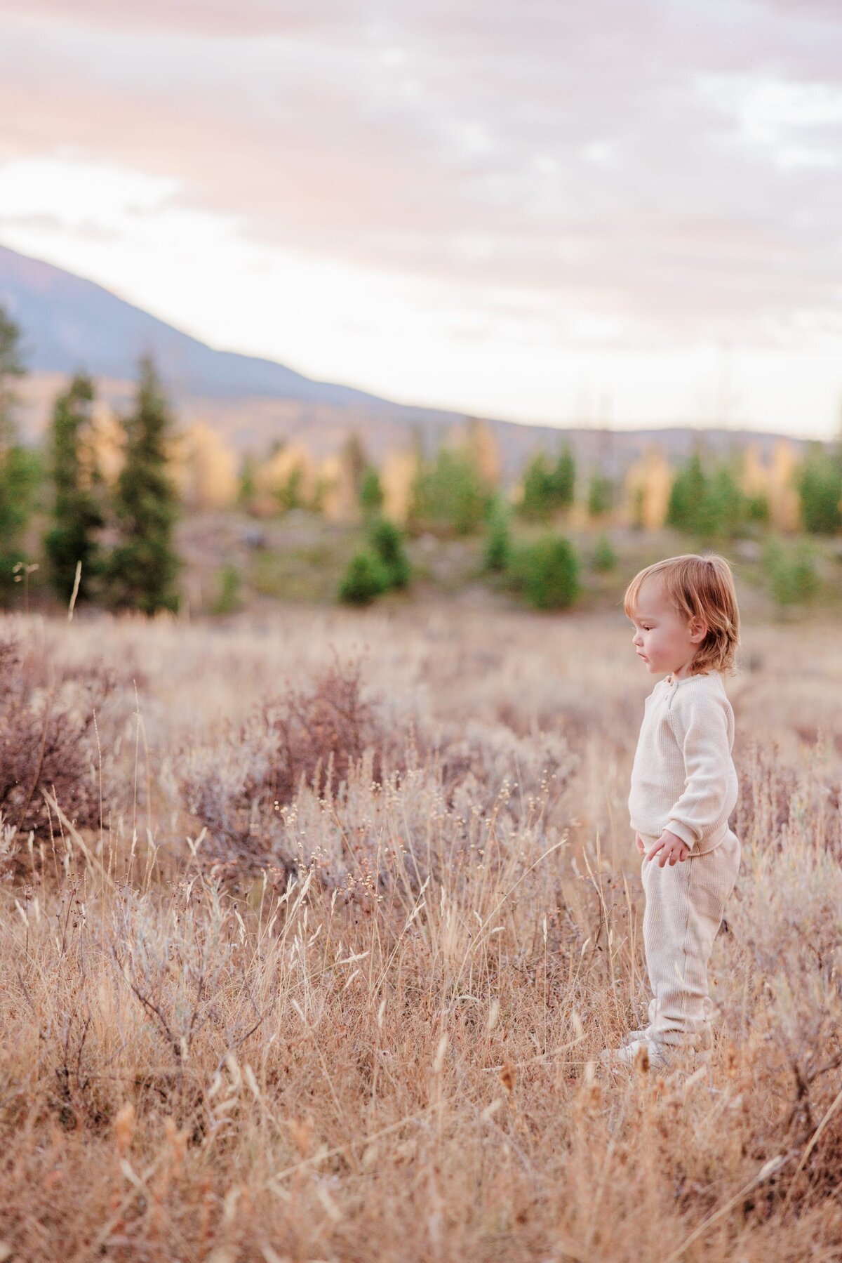 A baby in a cream onesie explores tall golden grass in a mountain meadow