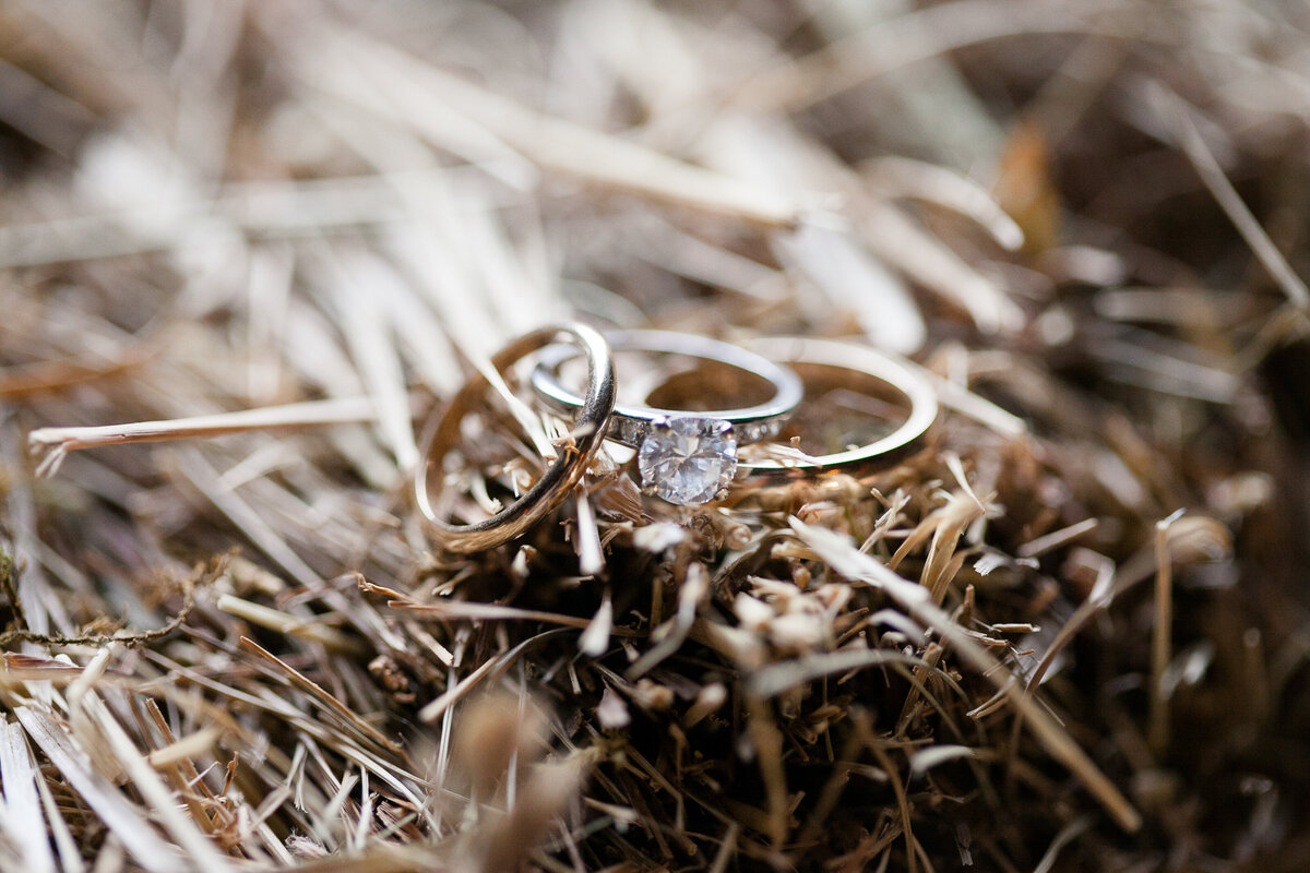 Caroline and John-540