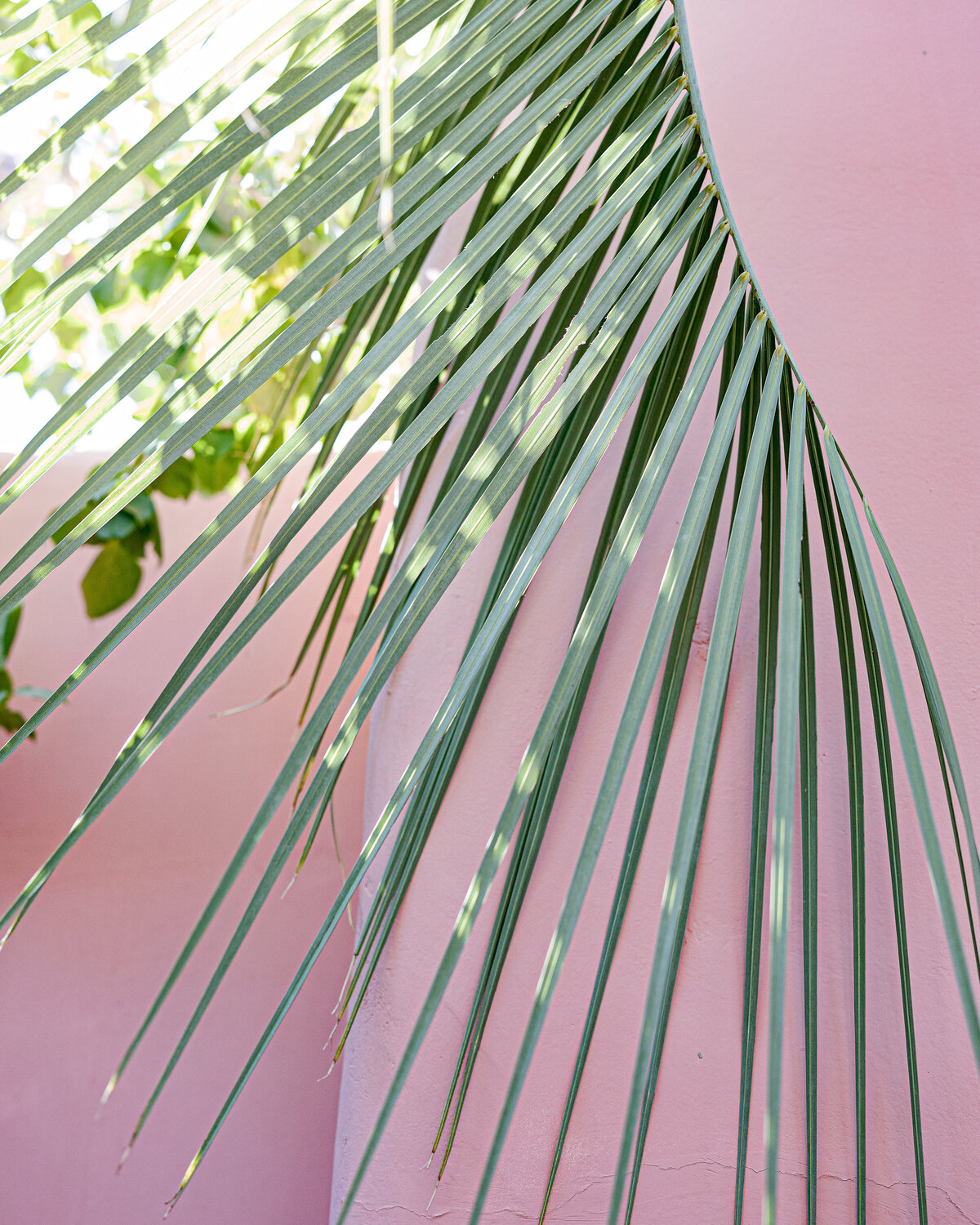 SandsHotelPalmSpringswedding-Shareable-AllieLindseyPhotography(217)