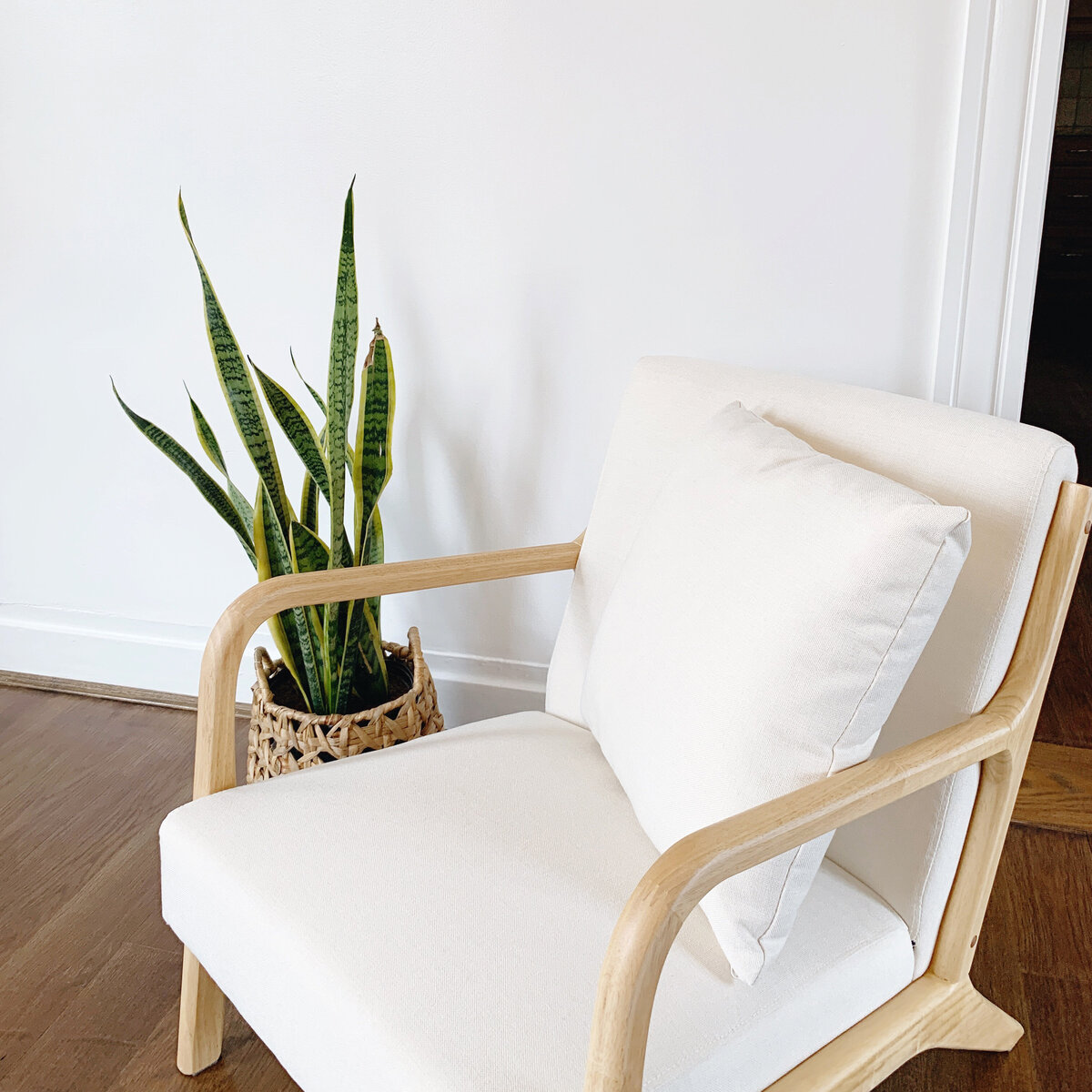 White arm chair with natural wood frame along with snake plant sitting nearby
