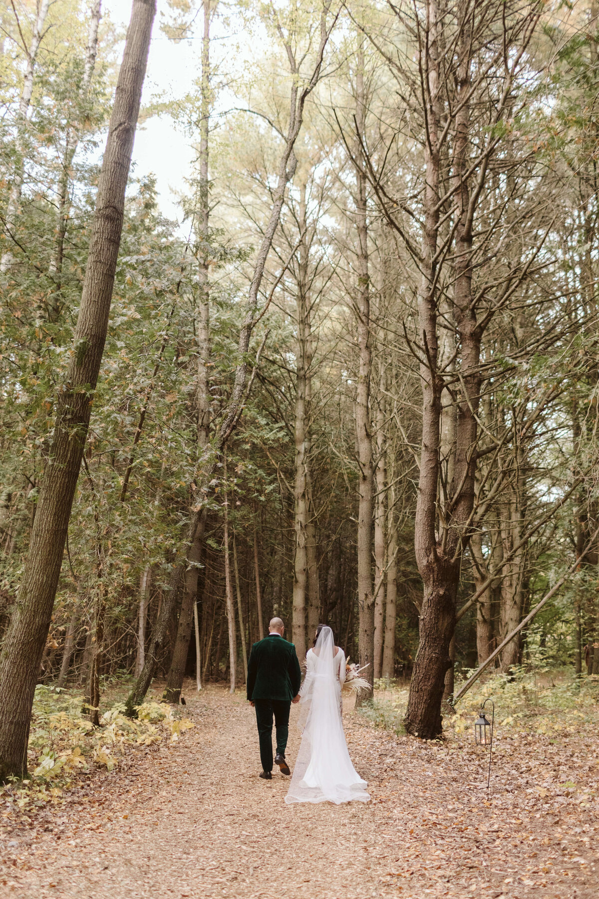 Wedding Photos Forest