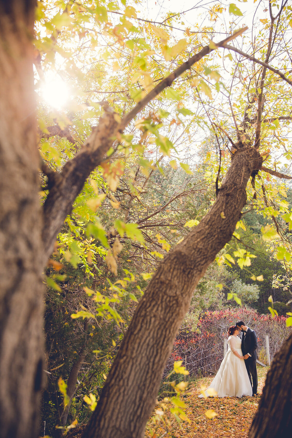 PhoenixWeddingPhotographers-257