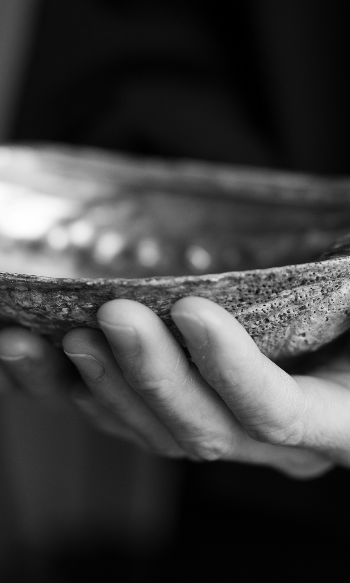 Close-up of Tanner holding an abalone shell, symbolizing intention-setting, cleansing, and ritual practices within CPTSD Medicine.