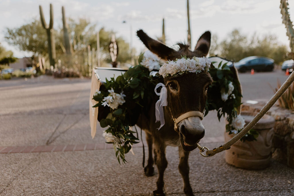 Angelica+Sean-tucsonweddingphotographer-228