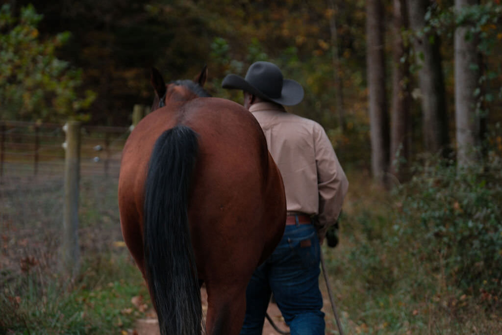 TheHoof_Selections_October_00105