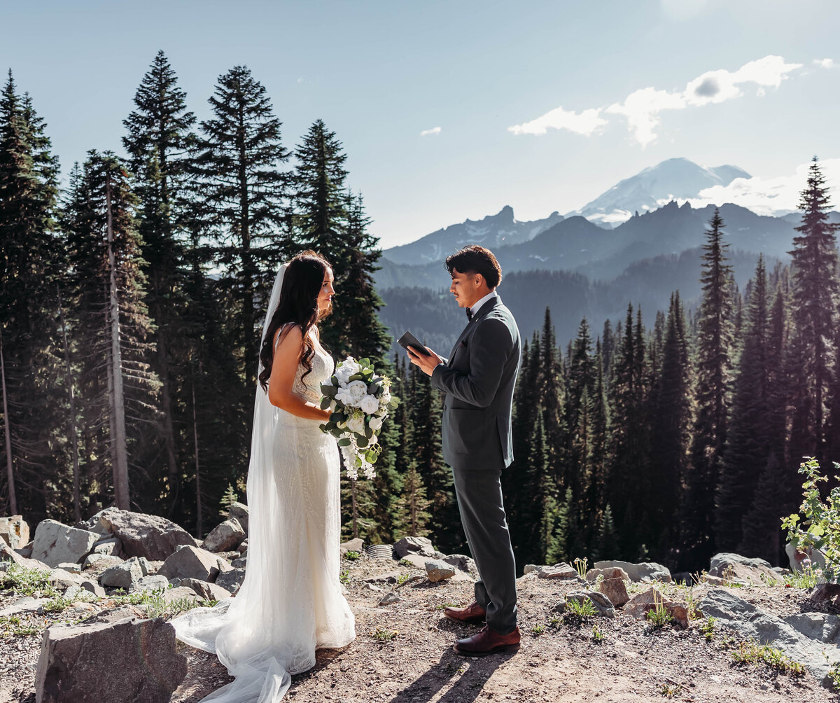 Mount Rainier, Washington Elopement-8282
