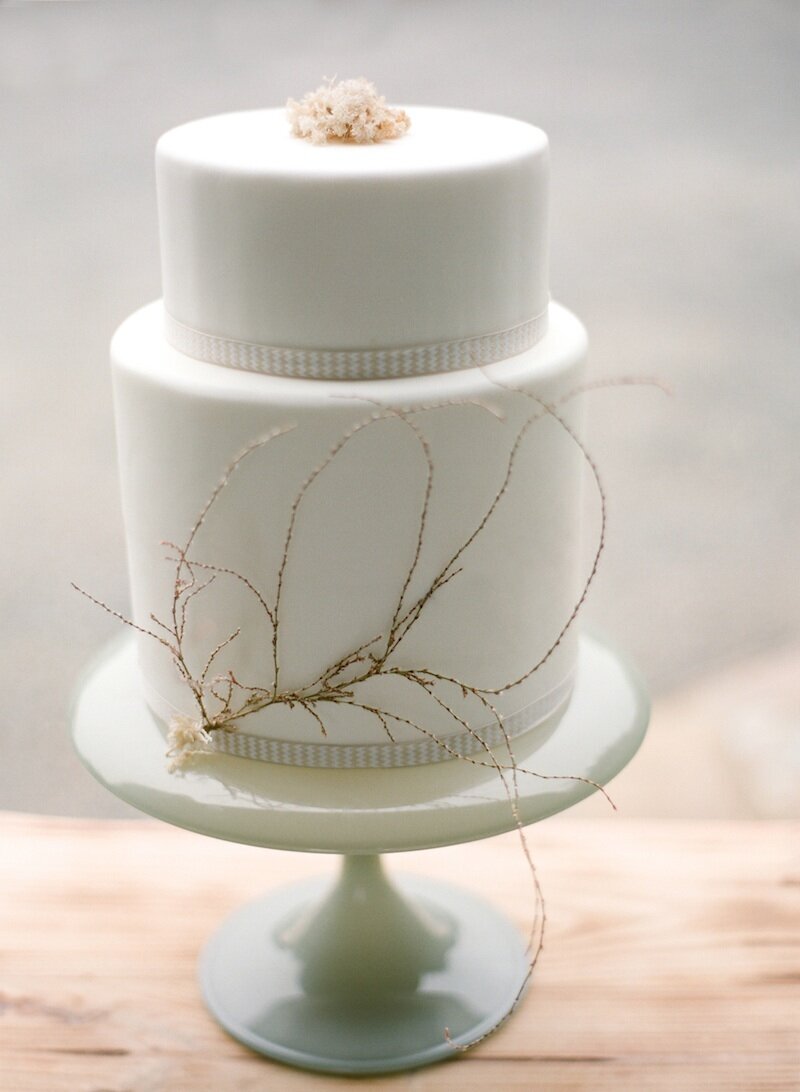 wedding cake coral