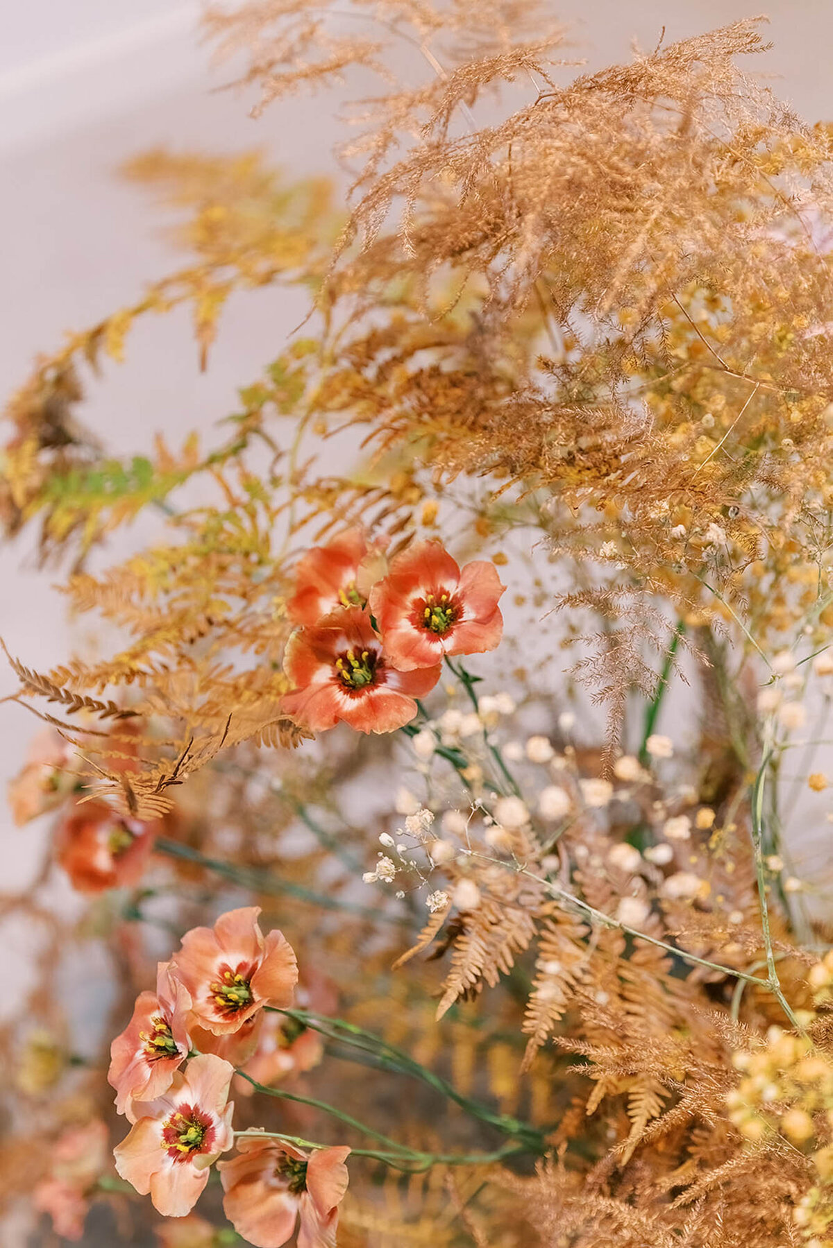 CapucineAtelierFloral-création-arche-florale_42