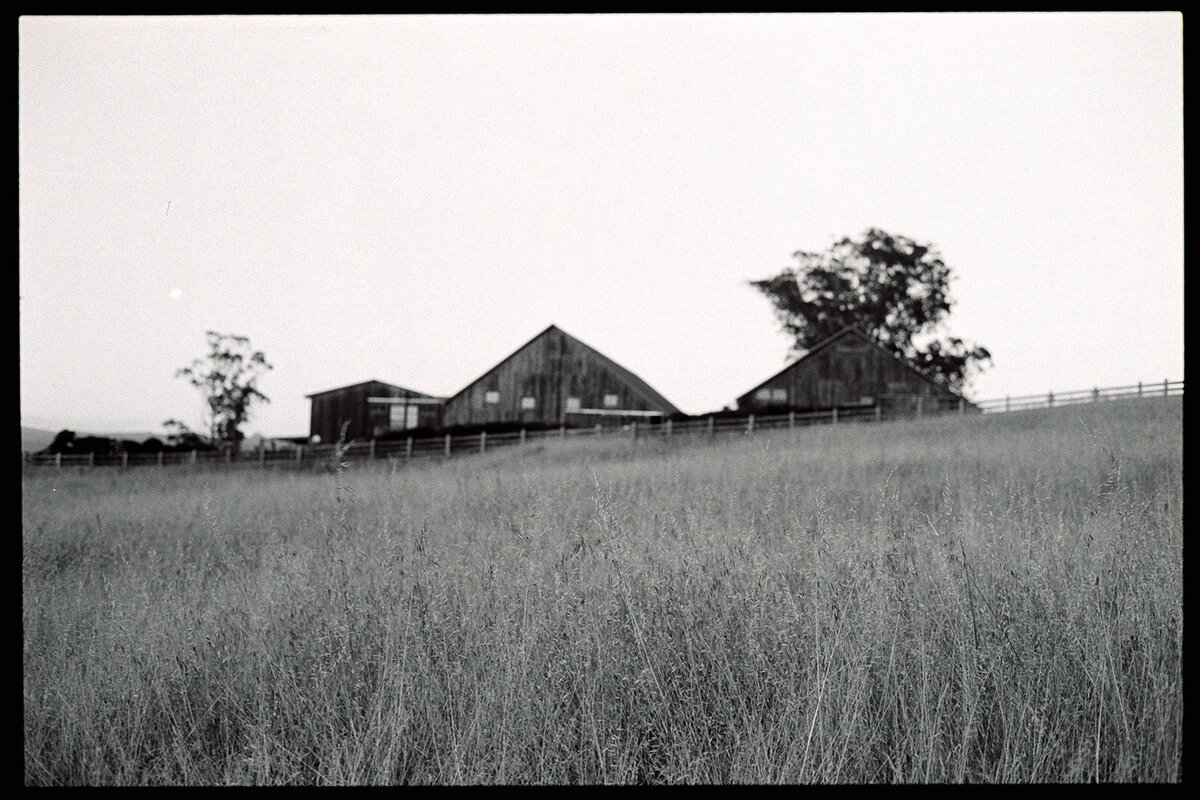 SCP_ilford_cali-7