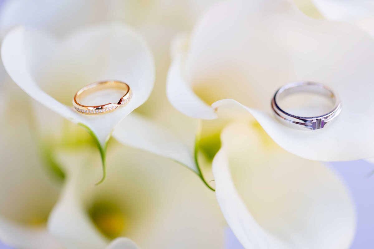 Planet-Bluegrass-Wedding-2
