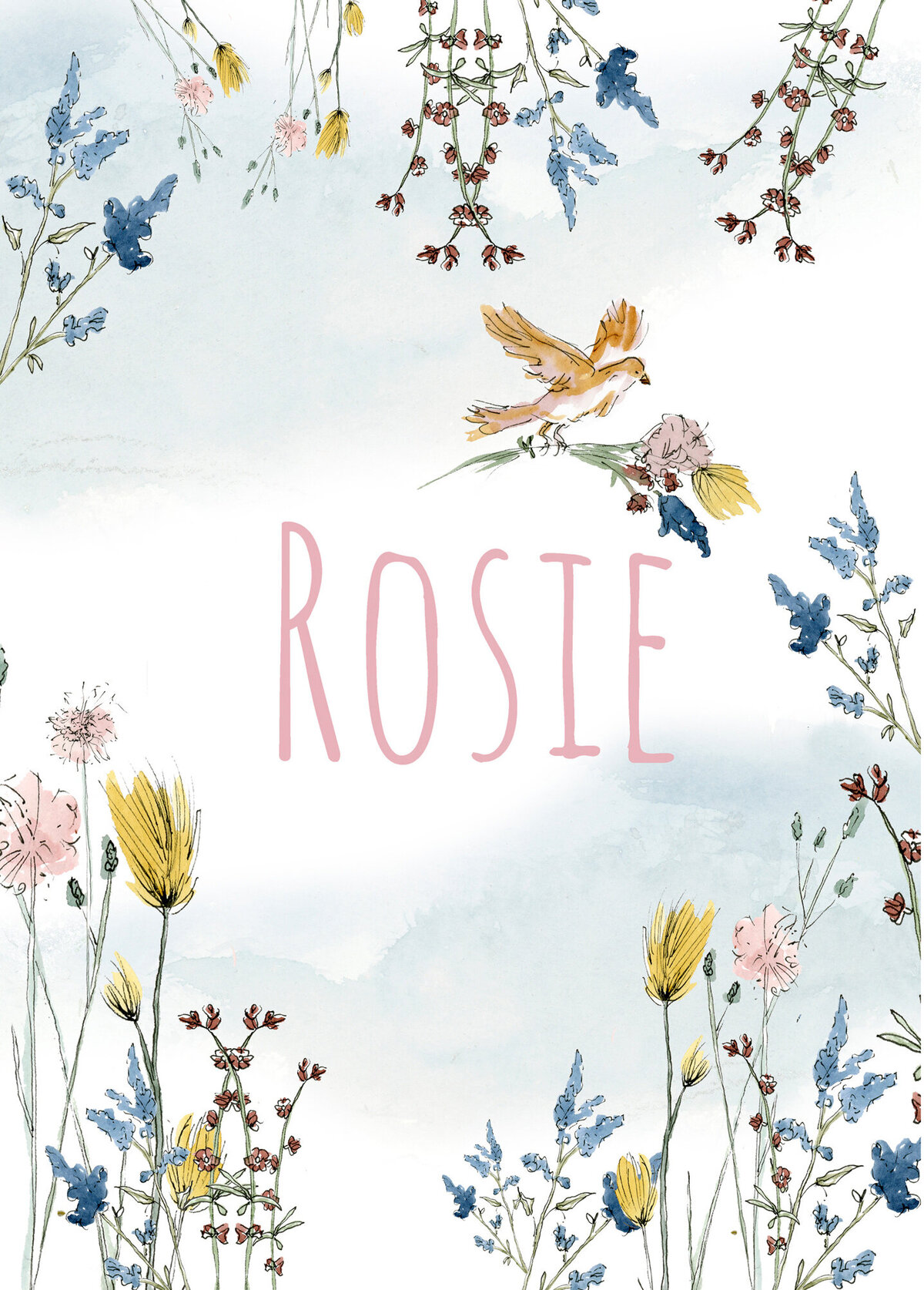 Poster_Geboorteconcept_Rosie