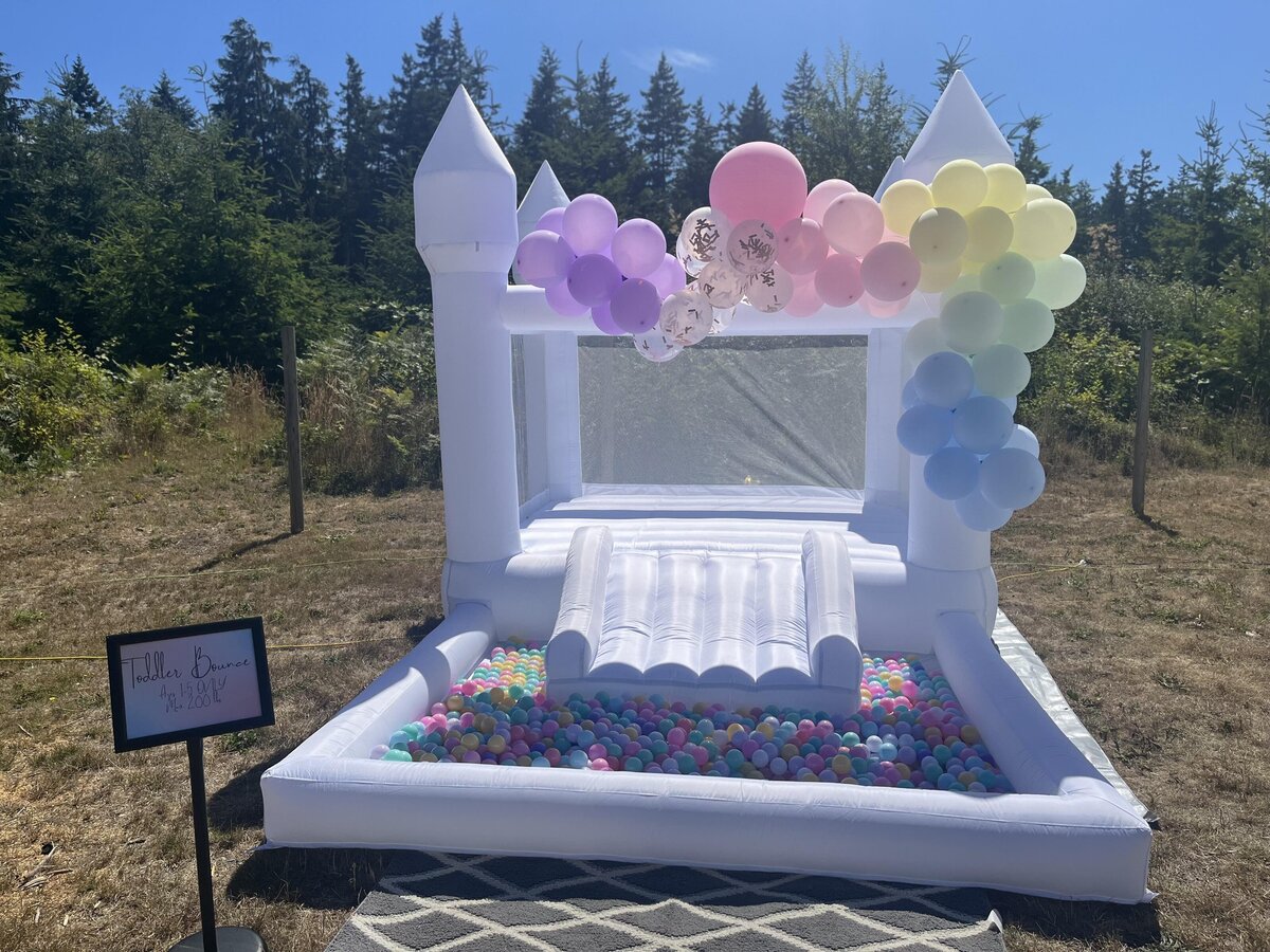 THE MINI WHITE BALLOON GARLAND - ISLAND INFLATABLES - OAK HARBOR BIRTHDAY