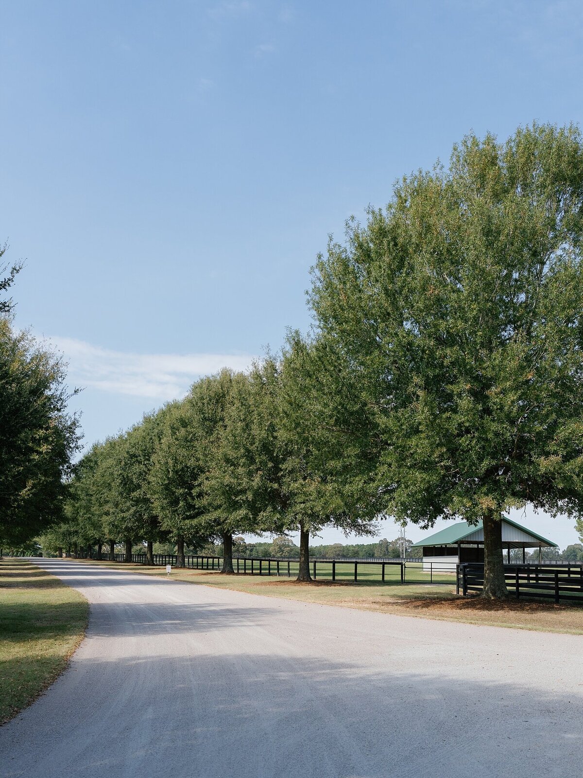 Custom tented wedding celebration with fall Ralph Lauren vibes at private polo farm in Aiken, South Carolina by Sarah Bradshaw_0149
