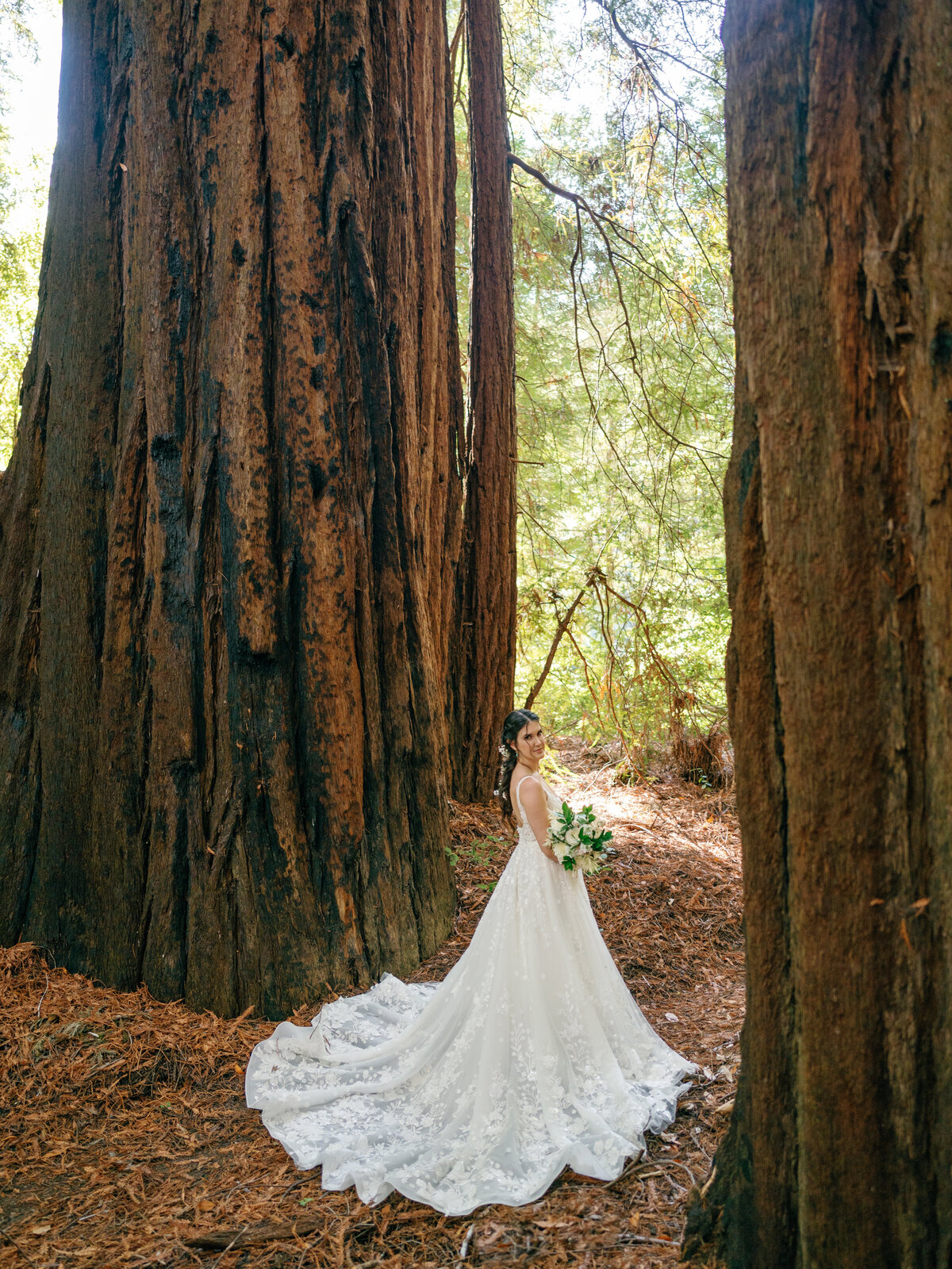 RedwoodsCalifornia-16