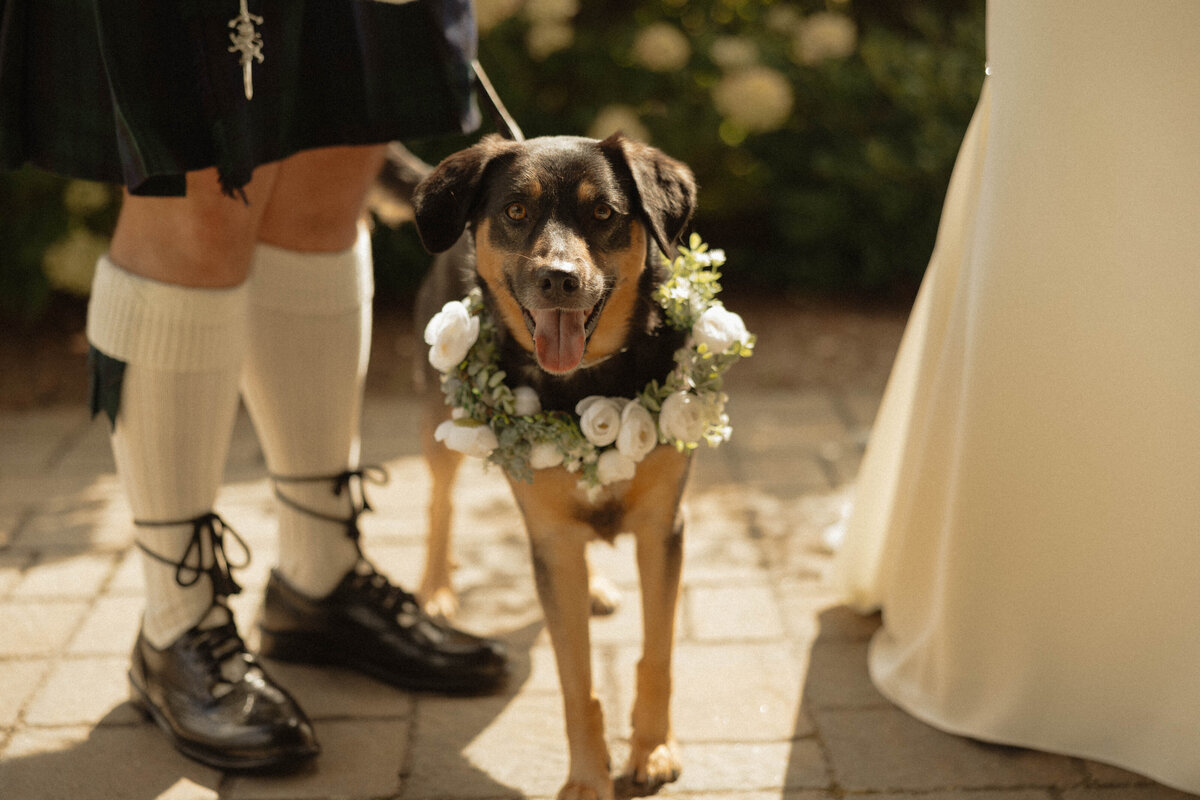 CG-CameronWhitney-30