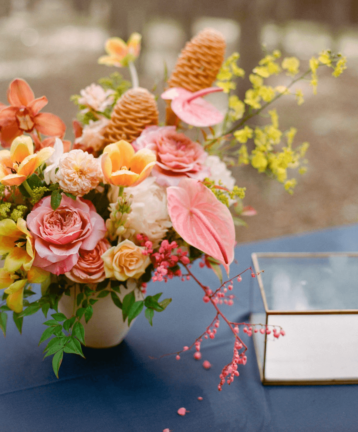 Screenshot 2025-11-25 at 12.03.22 PM