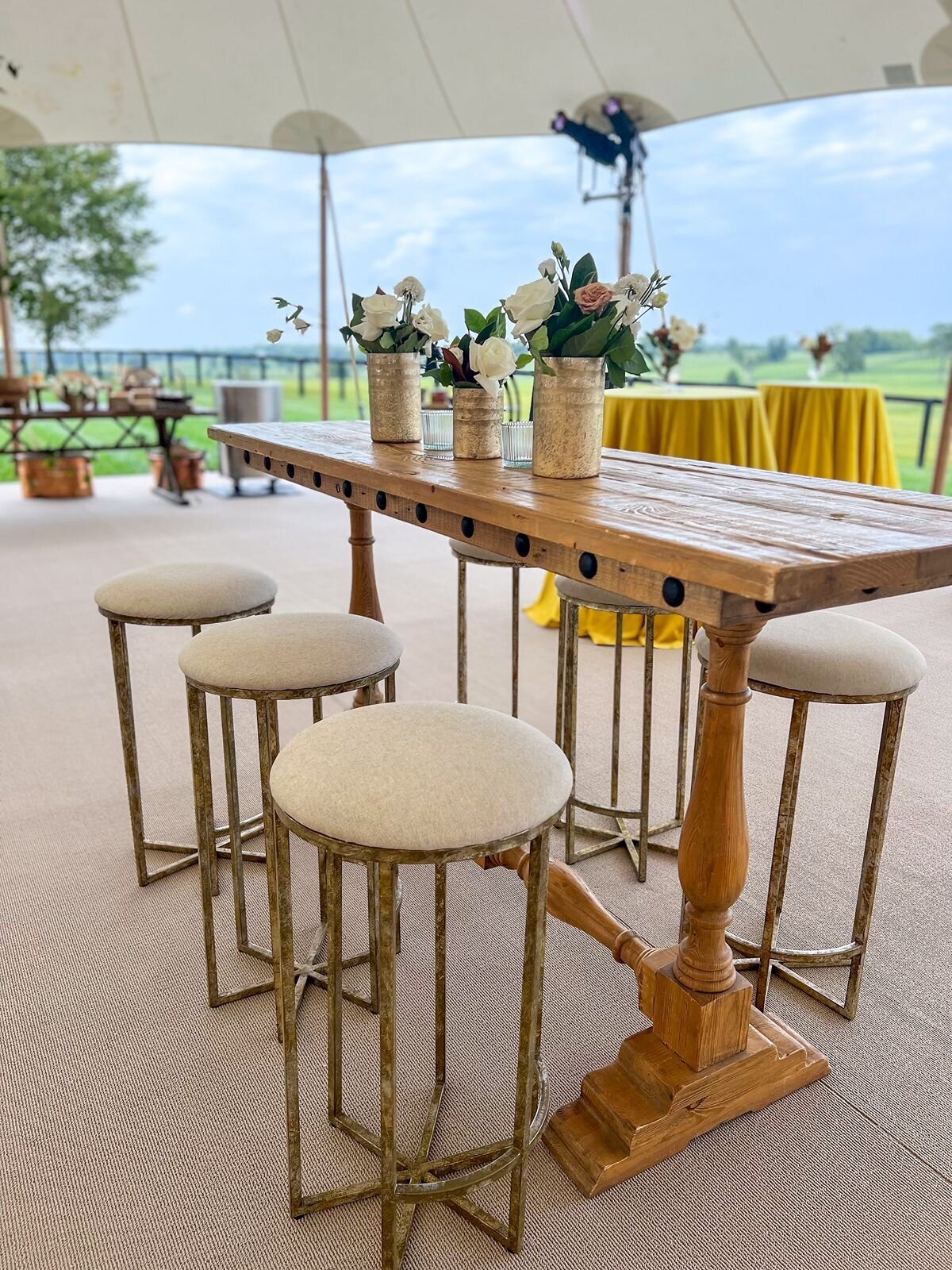Celebration-of-Life-Kentucky-horse-farm-tall-cocktail-tables