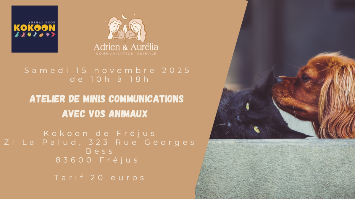 salon auriol