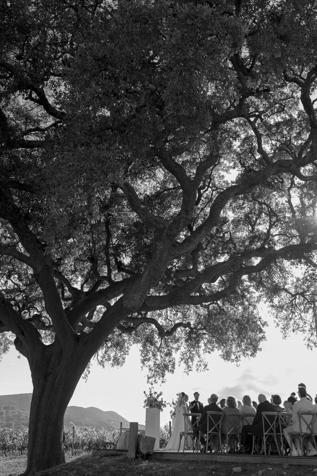 Will&Caroline-AliceVicenteWeddings-292