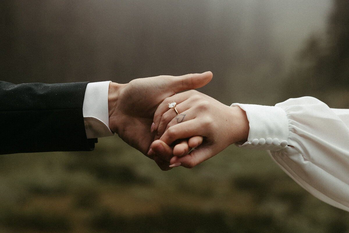 MtRainierSmallWedding-DallinHazard-96