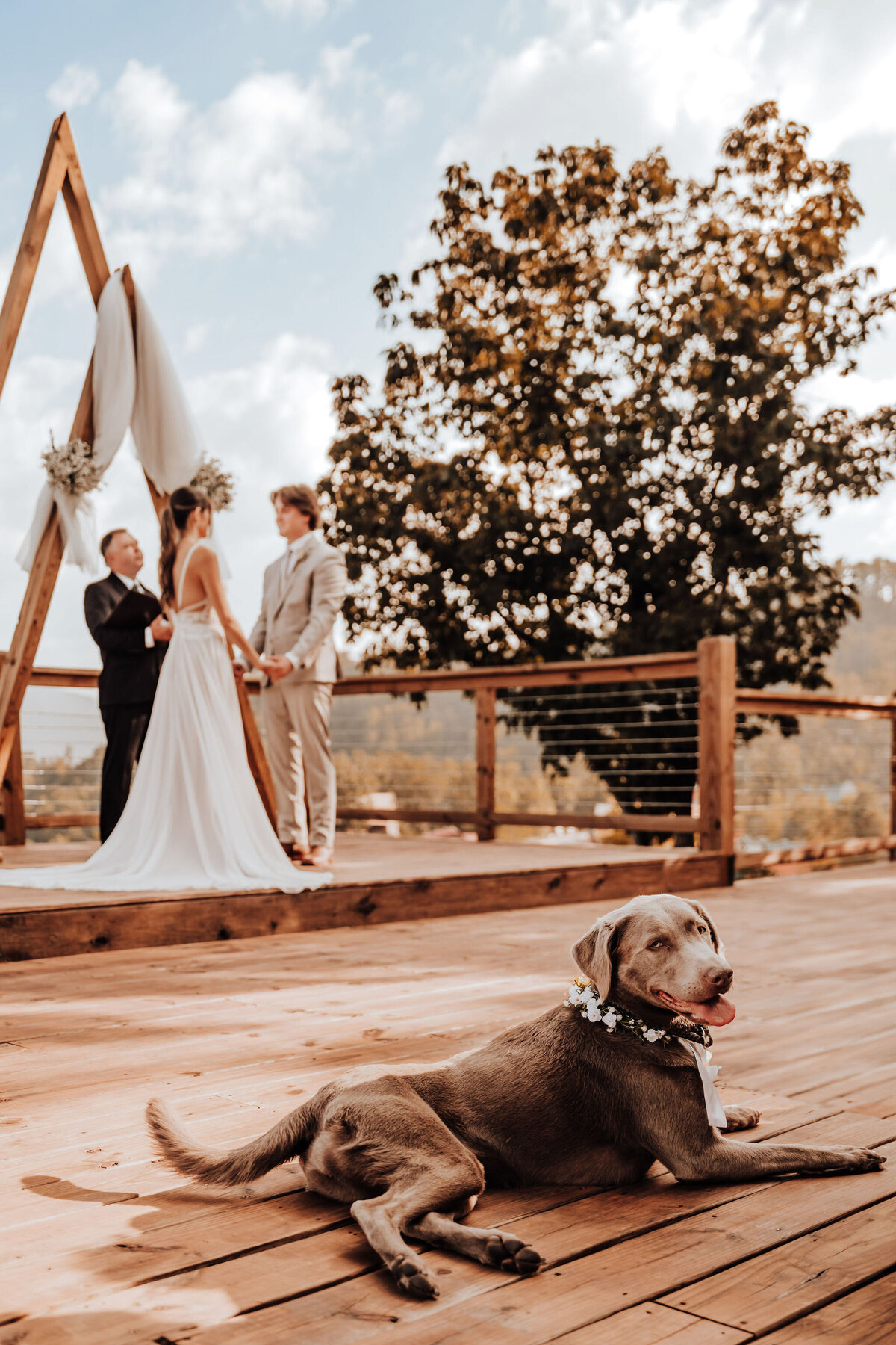 sevierville micro wedding-80