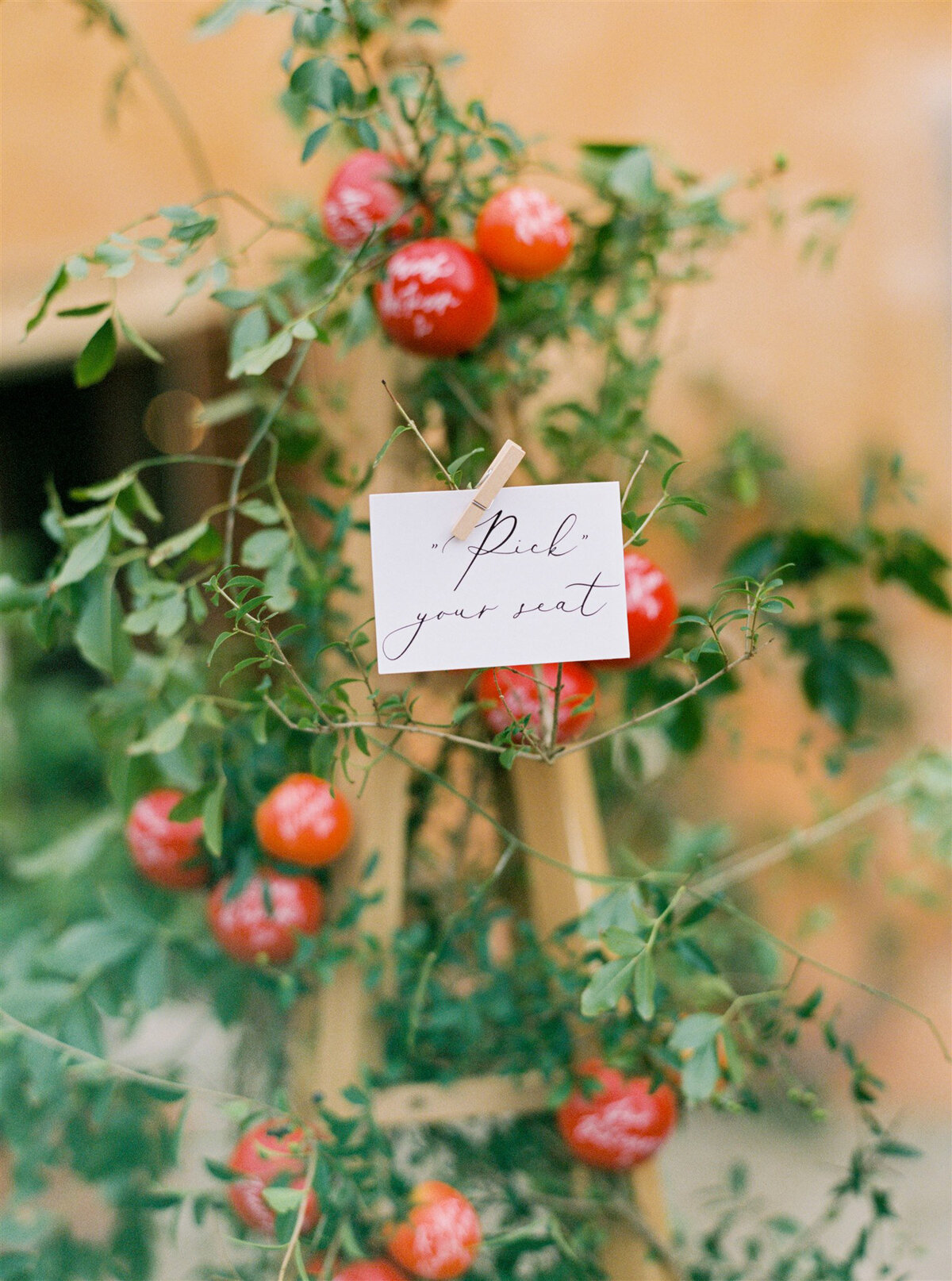 Tuscany Wedding Jamie and Brandon Lauren Fair_Websize_211
