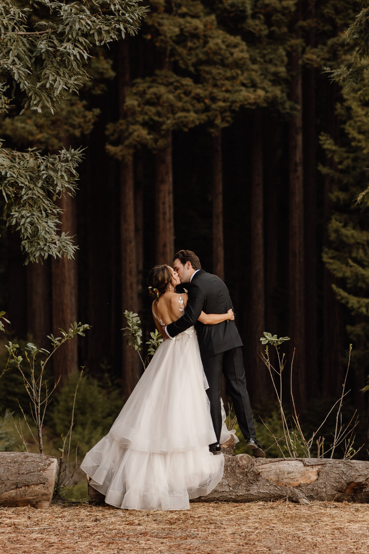 bride and groom kiss in the redwoods