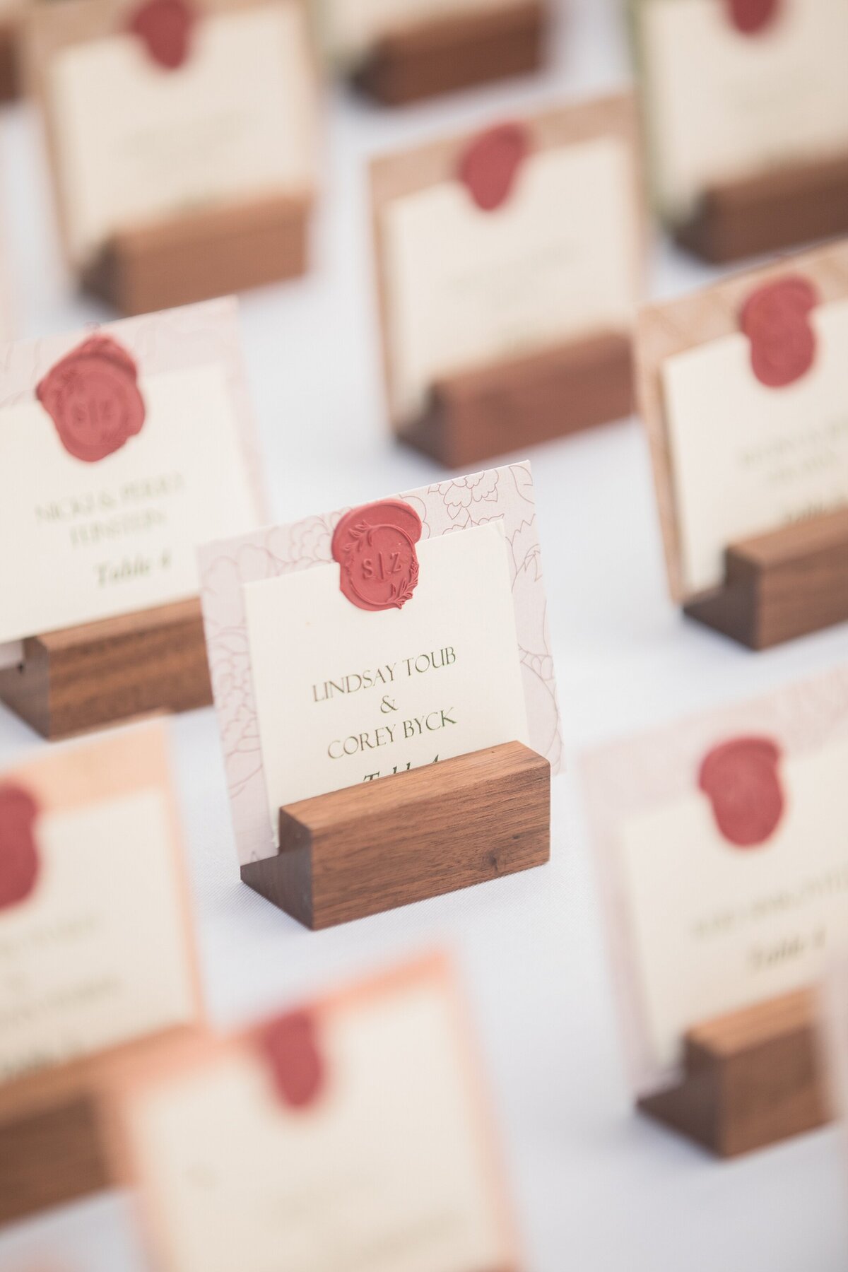 Fairmount Horitculture + Philadelphia + PA + Sarah and Zach + Jewish Couples + Yael Pachino Photogarphy LLC_3261