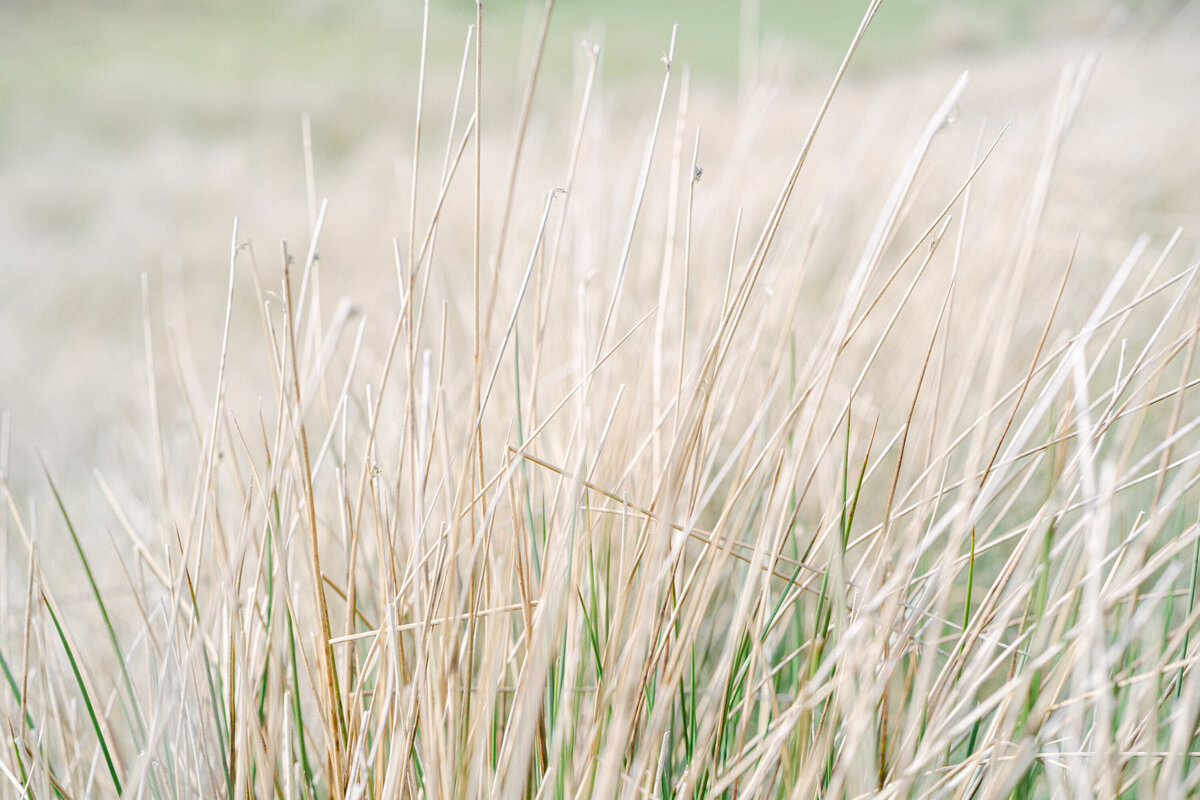 Luxury Elopement Photographer in the English Countryside -234