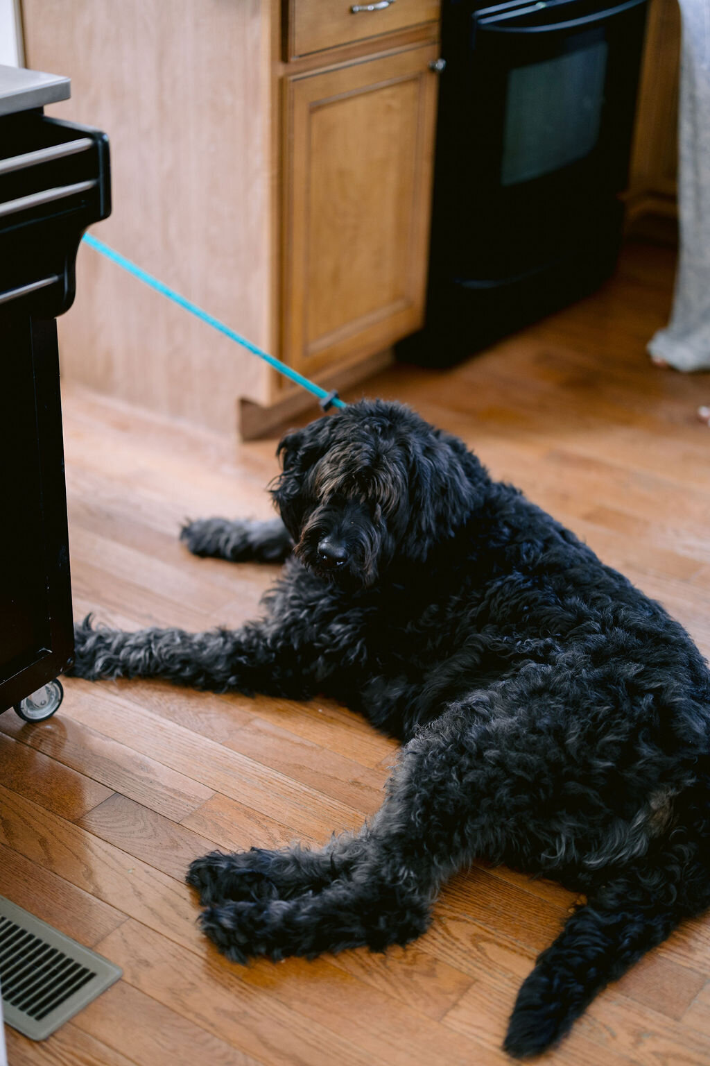 Zaversnik-Wedding-119