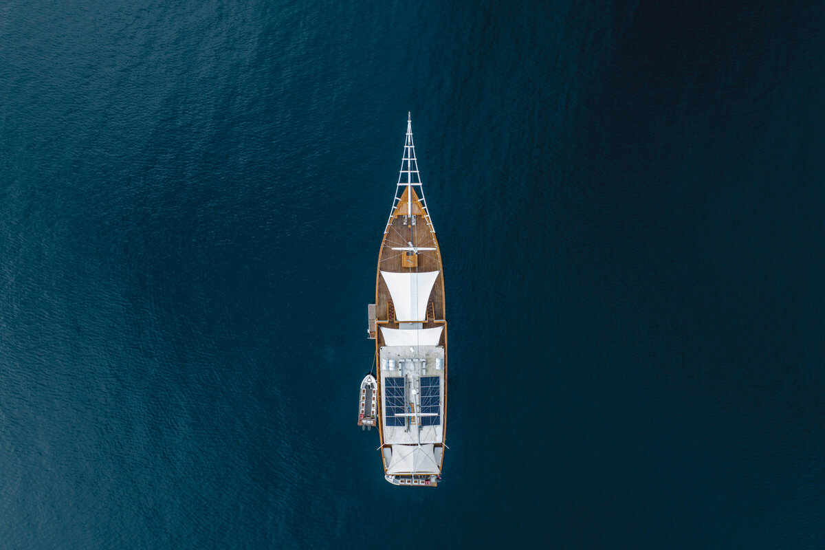 fenides luxury surf yacht indonesia - 