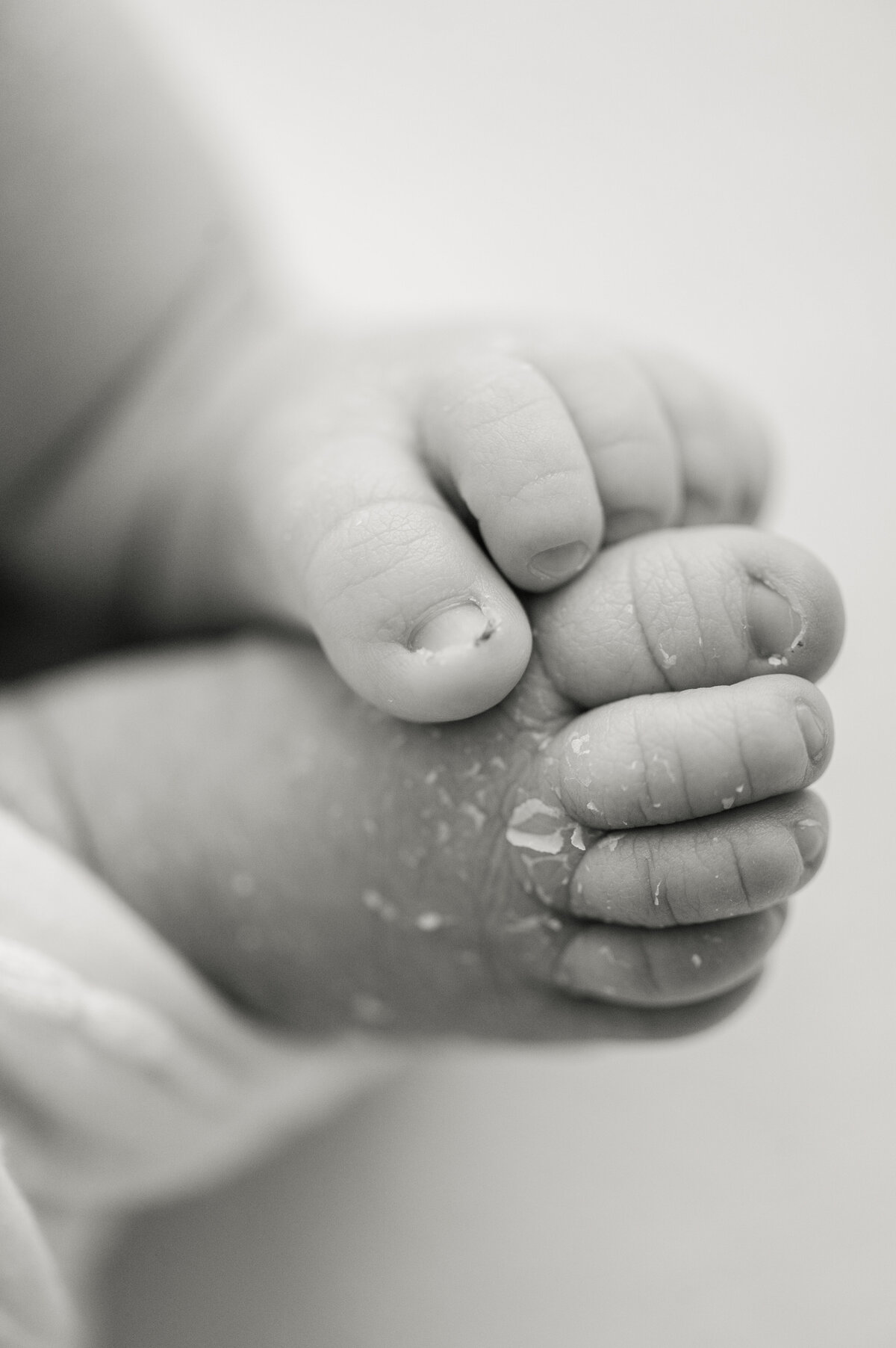 Macro shot of a newborn baby's toes and feet